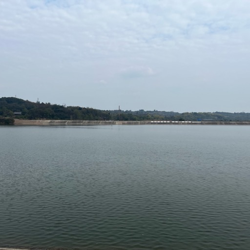 苏辙公园旅行图片 3
