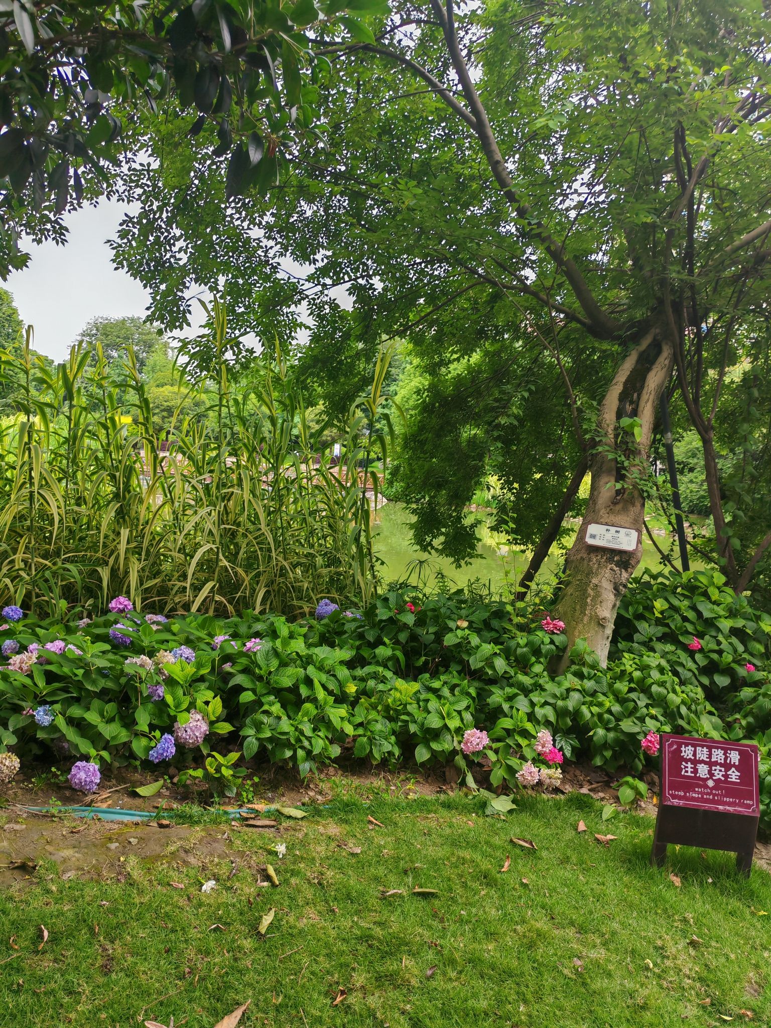 苏辙公园旅行图片 3