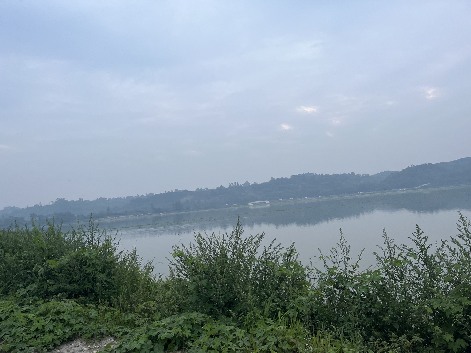 苏辙公园旅行图片 1