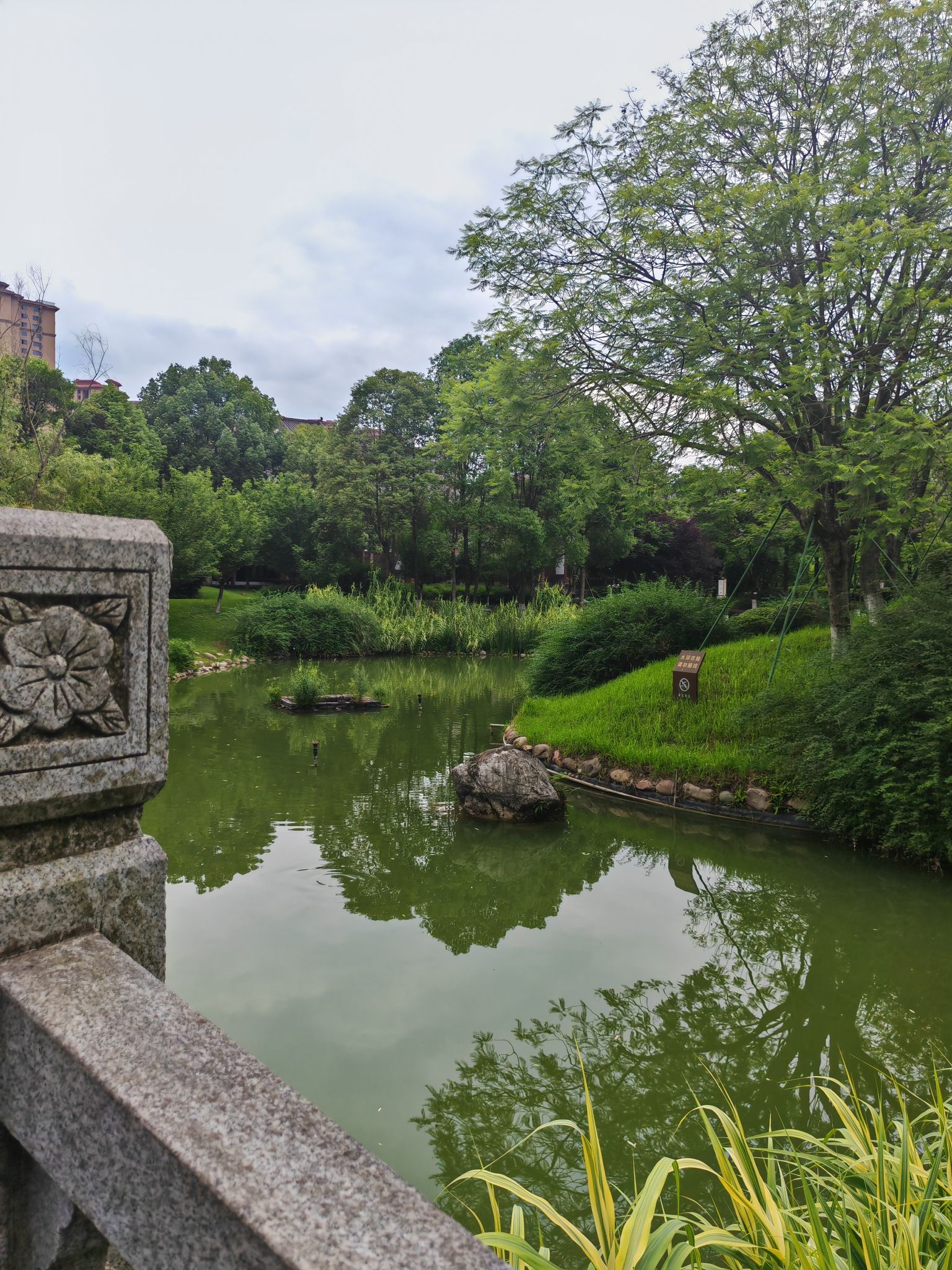 苏辙公园旅行图片 2