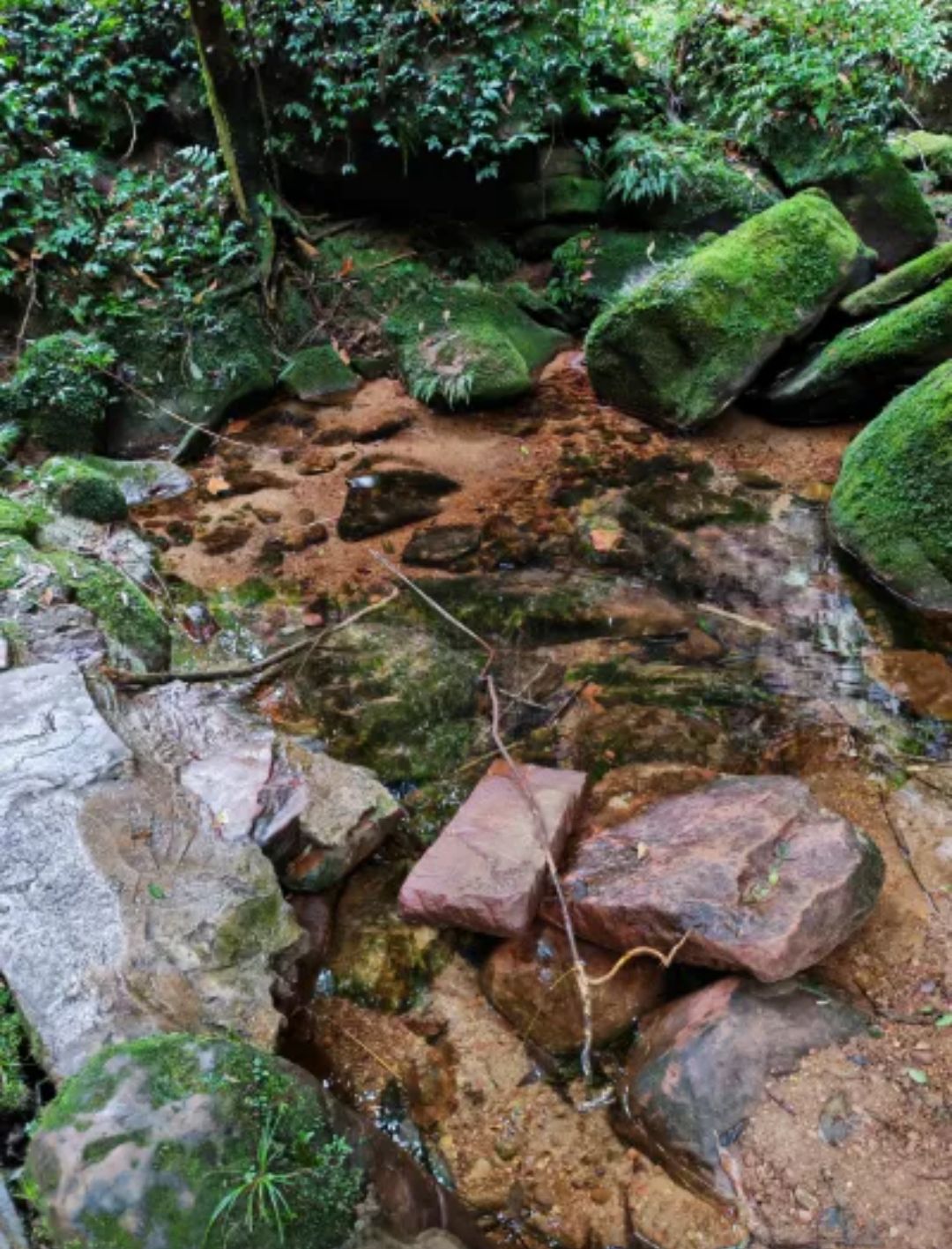 老峨山旅行图片 1