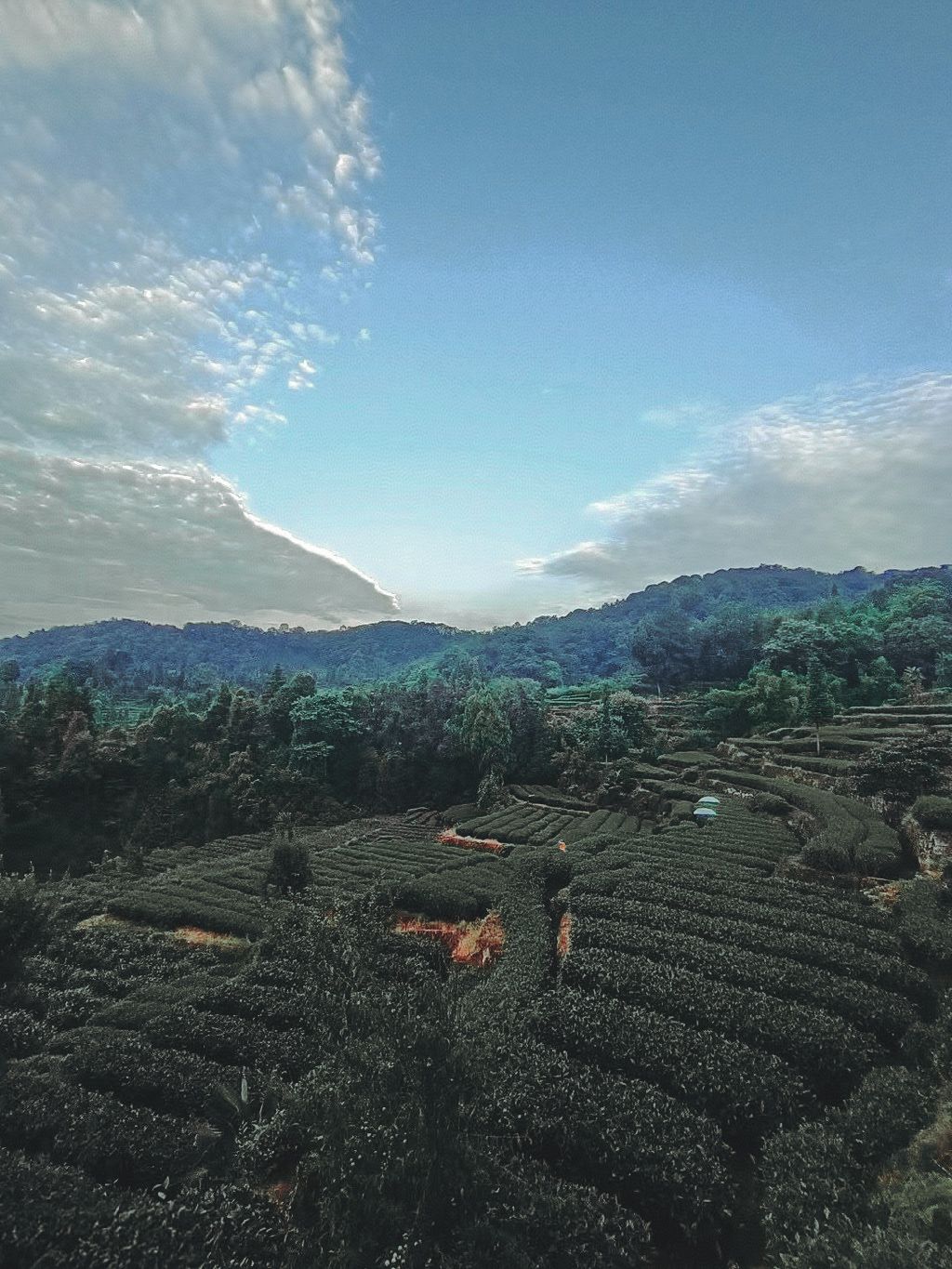 老峨山旅行图片 3