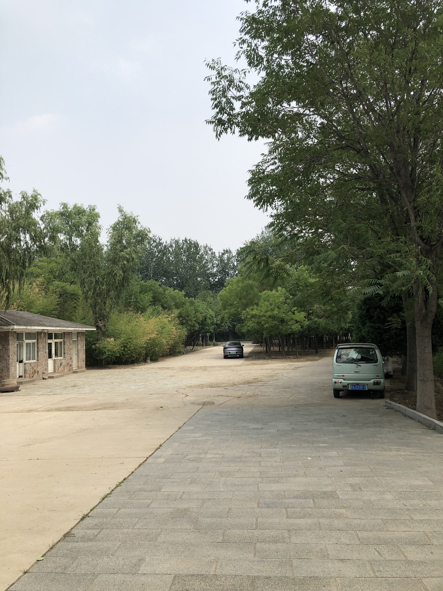 畅景园旅行图片 3