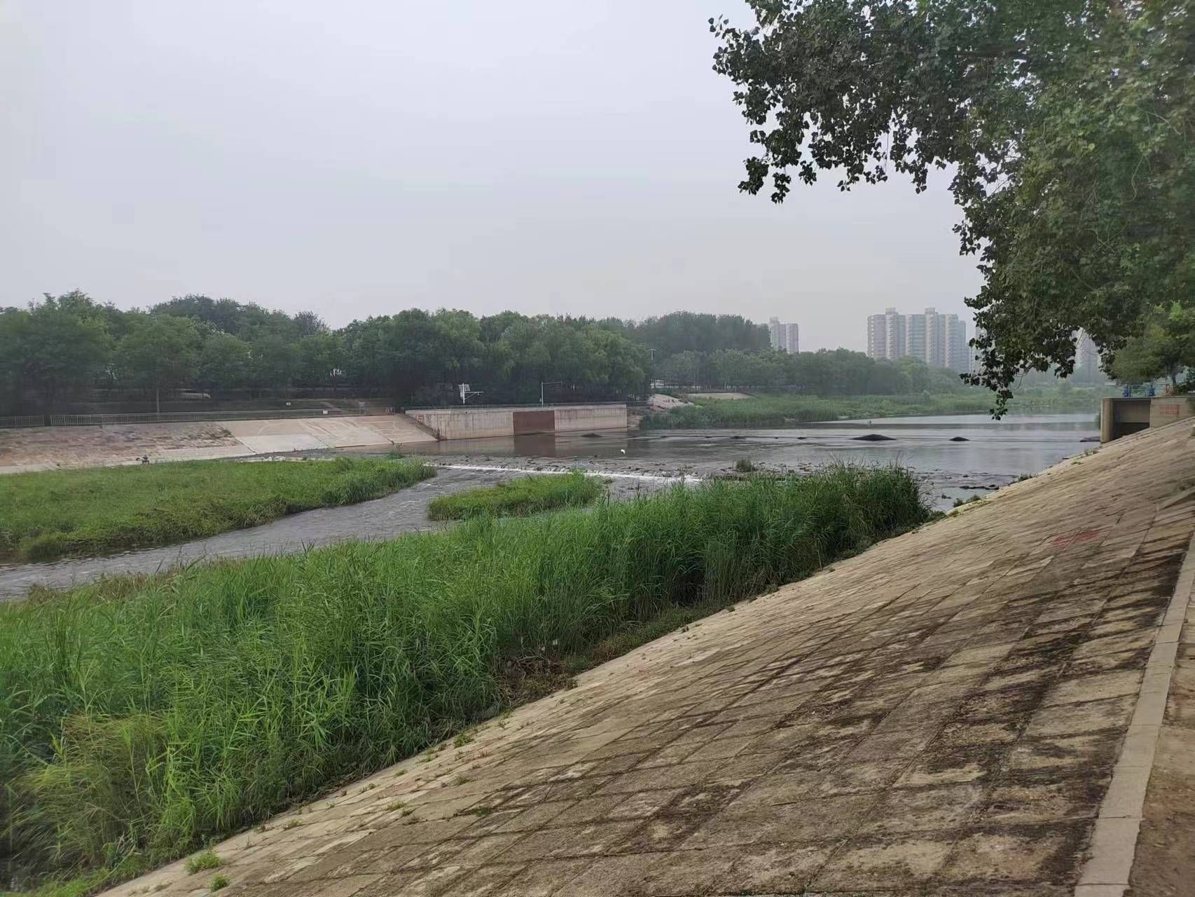 白各庄生态湿地旅行图片 3
