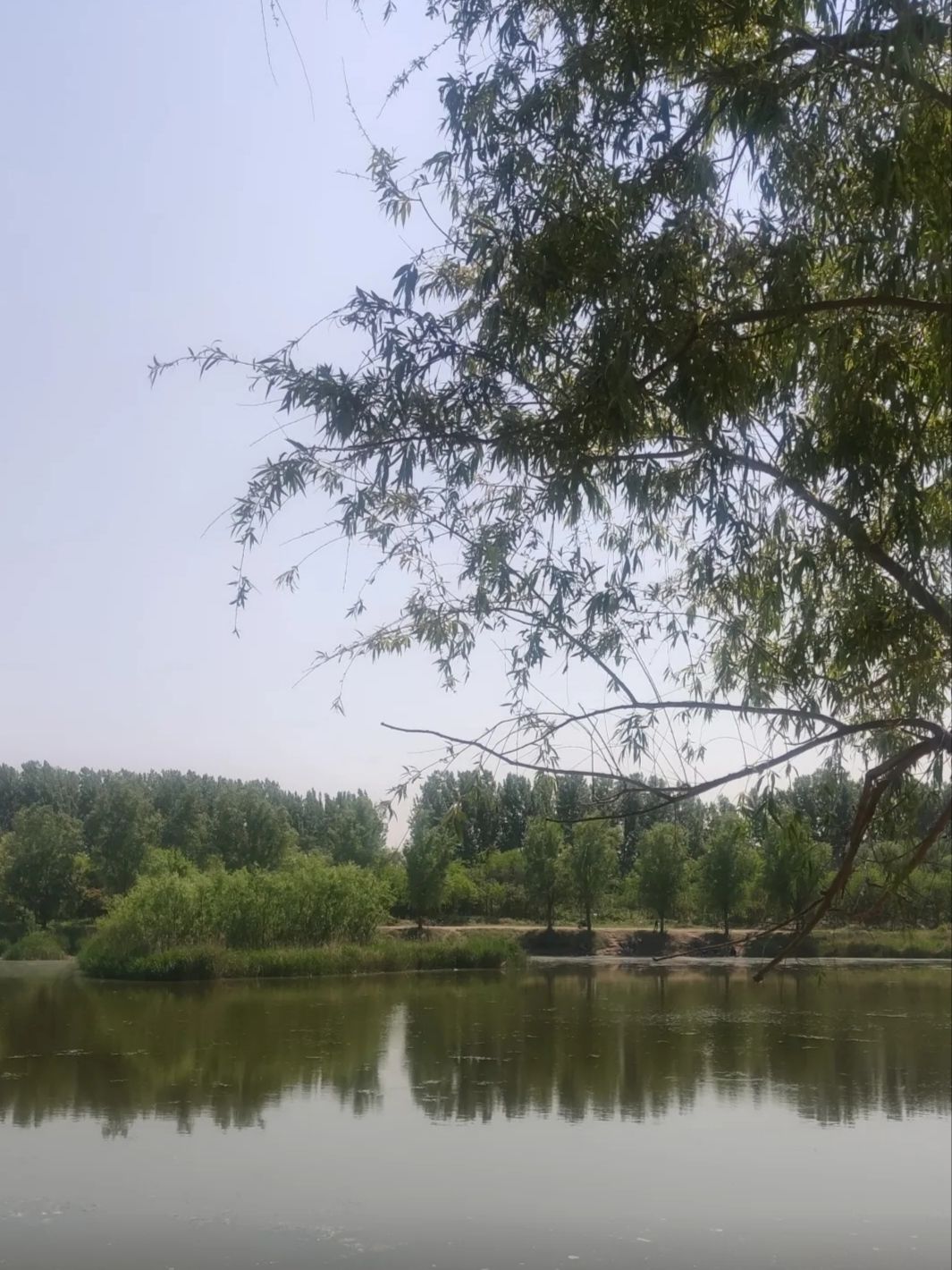白各庄生态湿地旅行图片 2