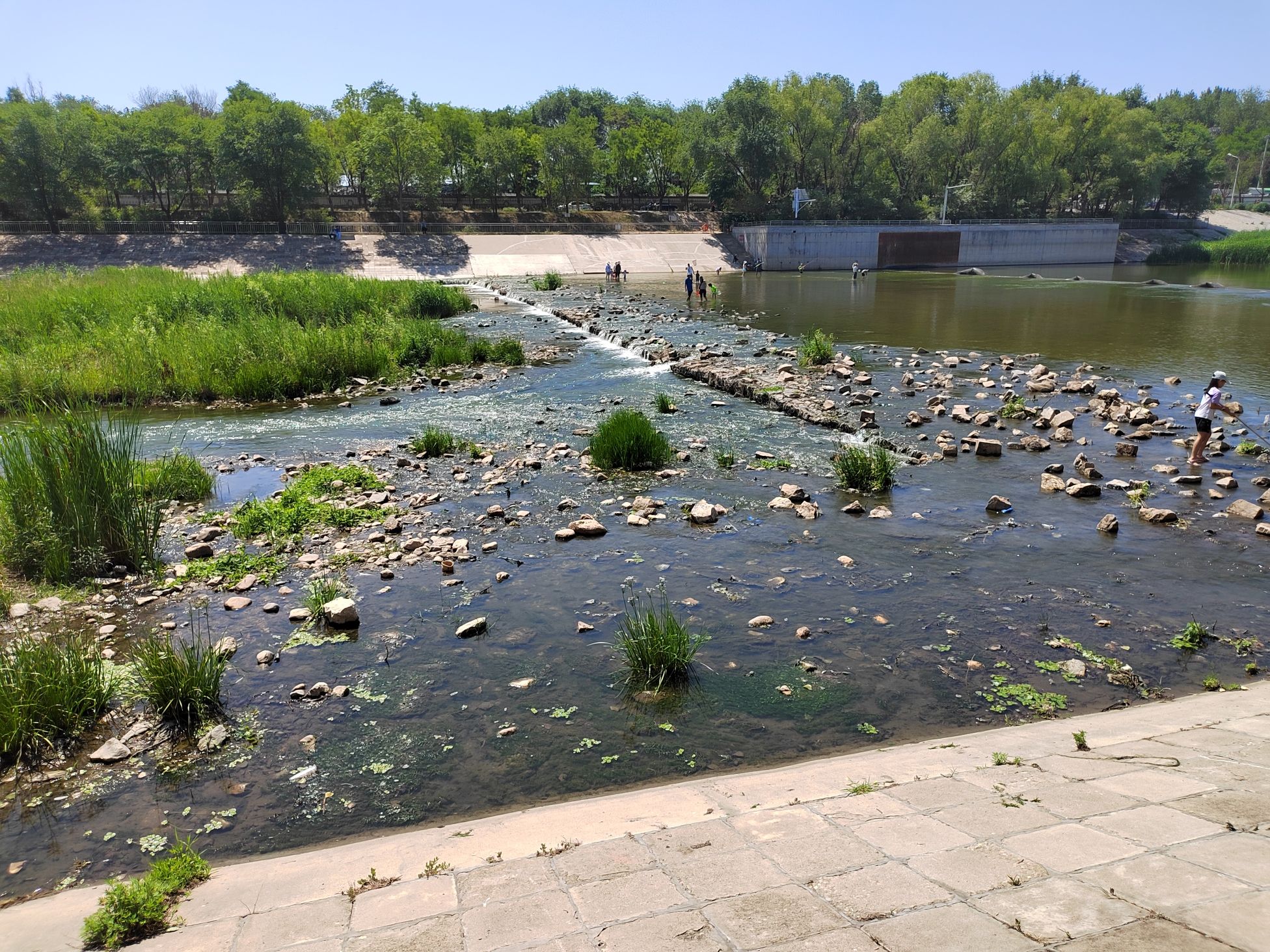 白各庄生态湿地旅行图片 3