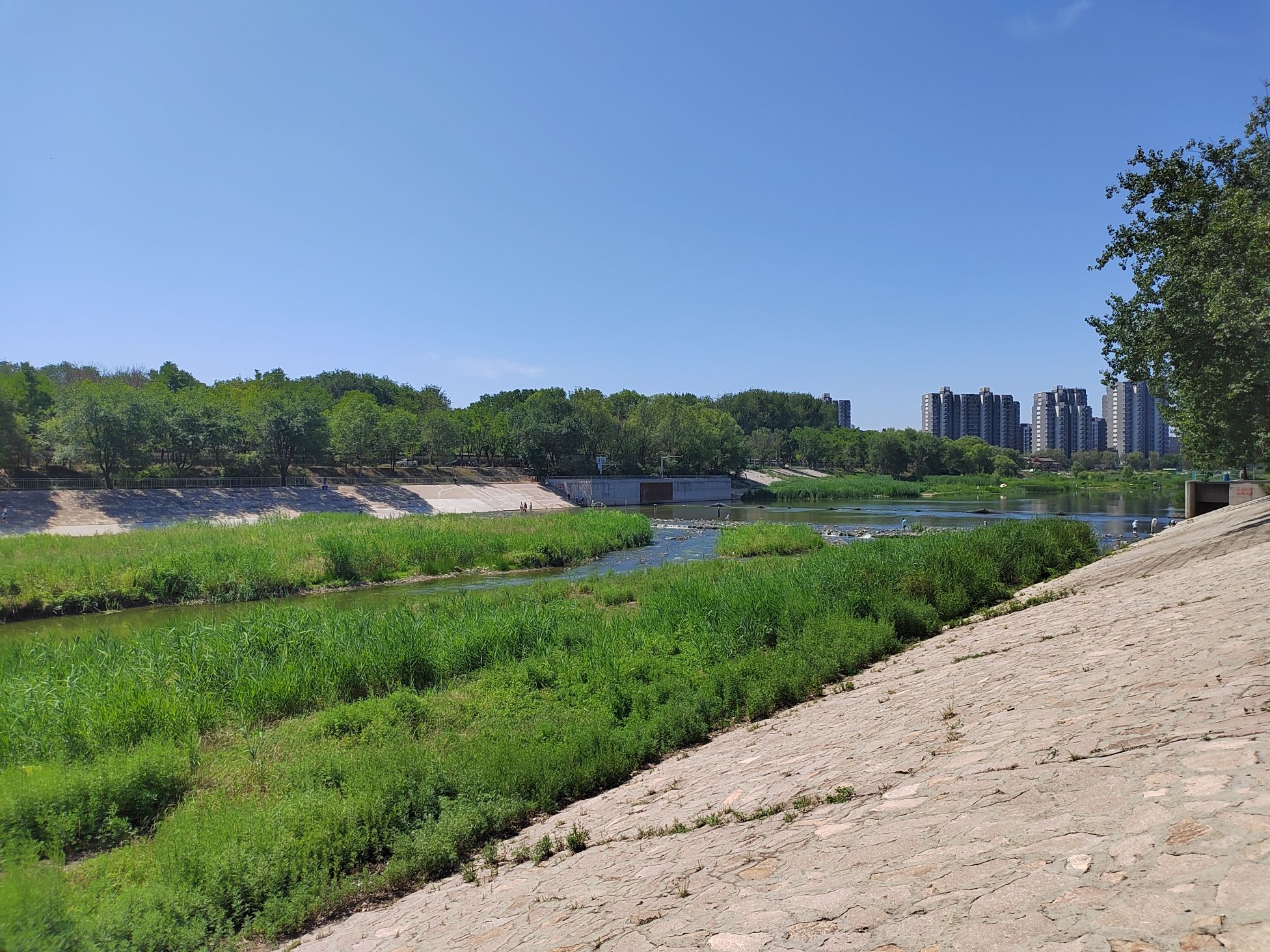 白各庄生态湿地旅行图片 1