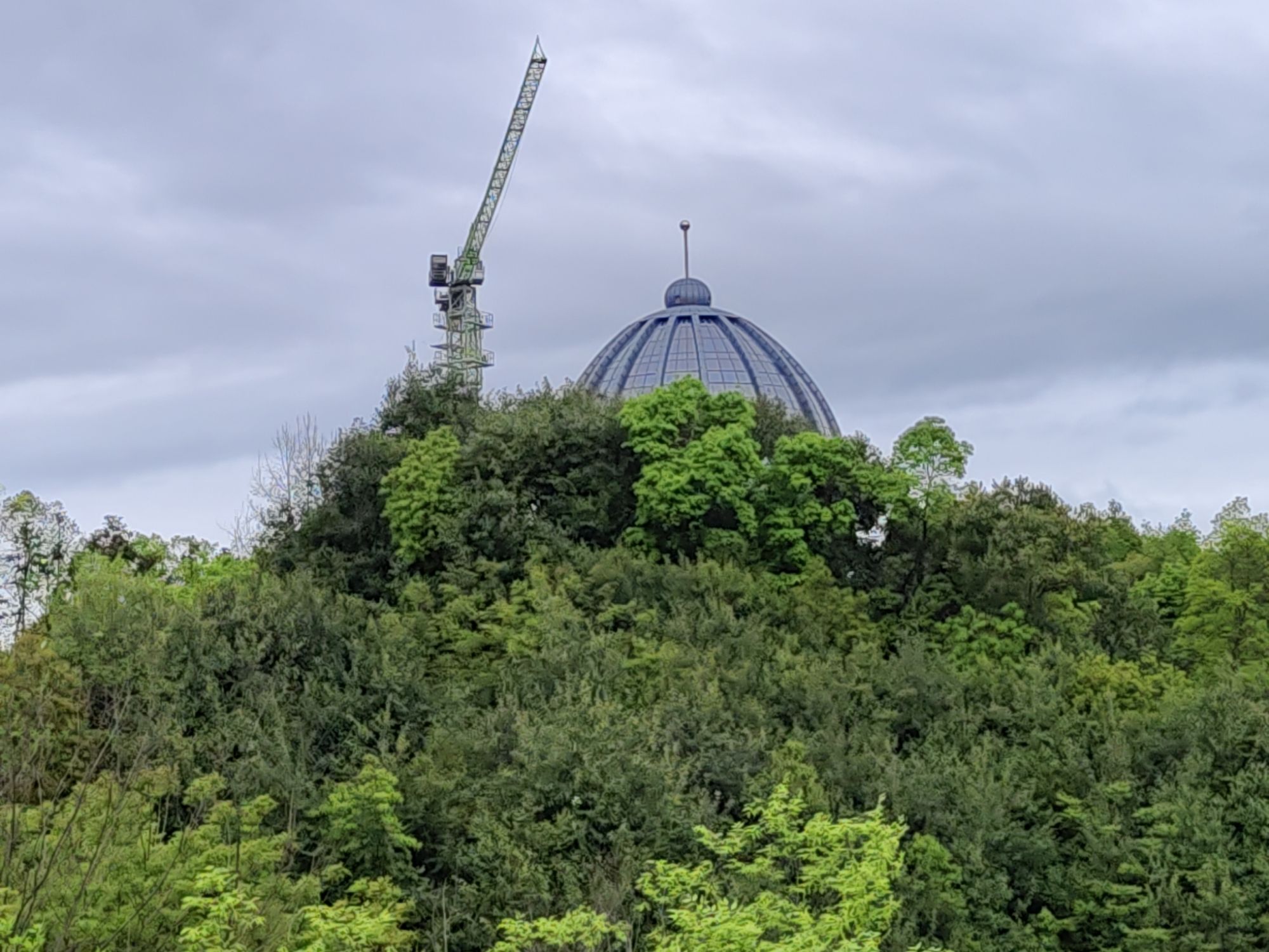 婺源植物园旅行图片 3