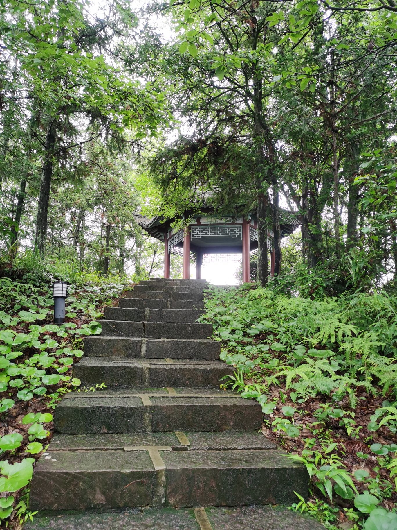 婺源植物园旅行图片 2