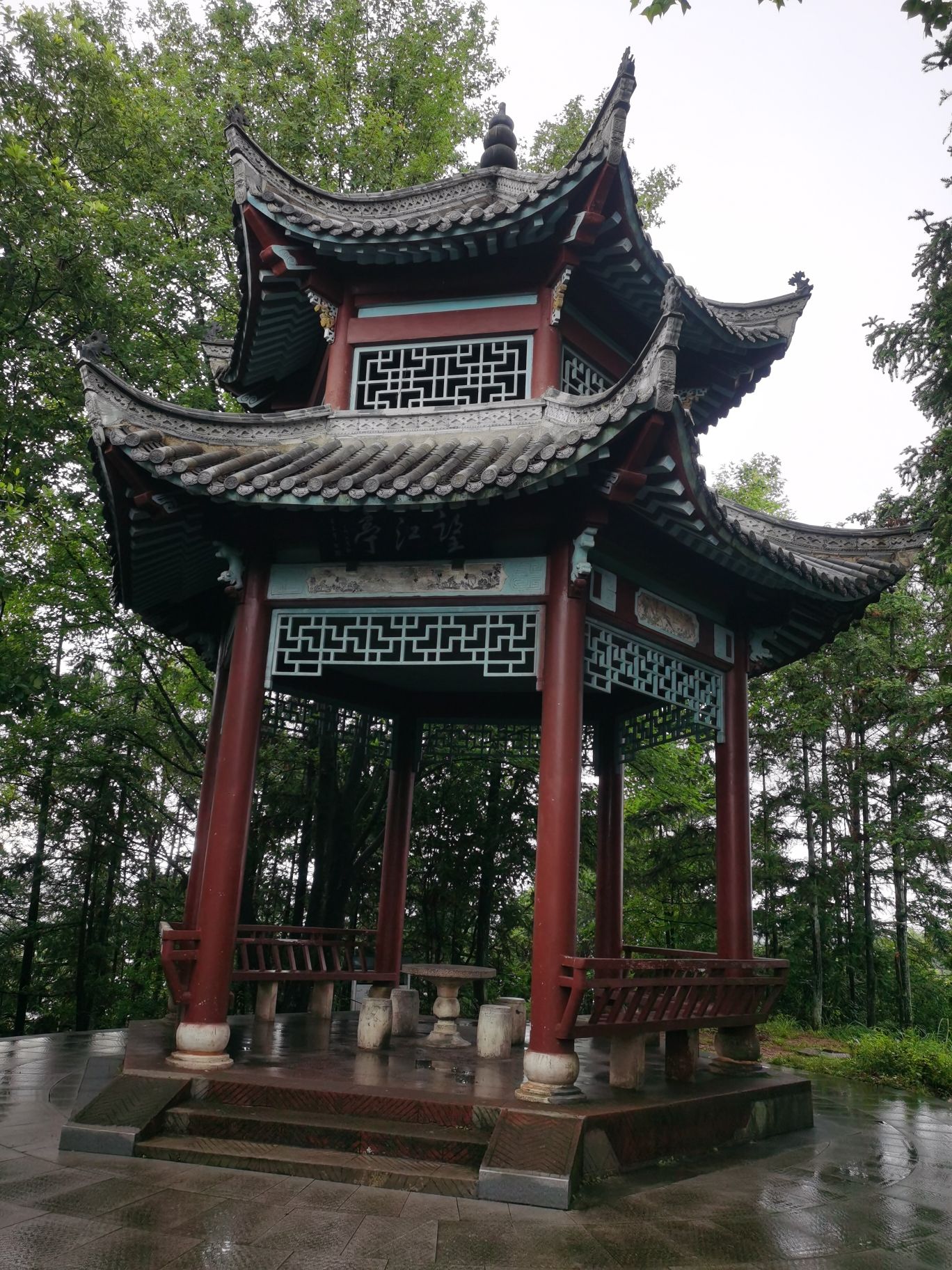 婺源植物园旅行图片 3