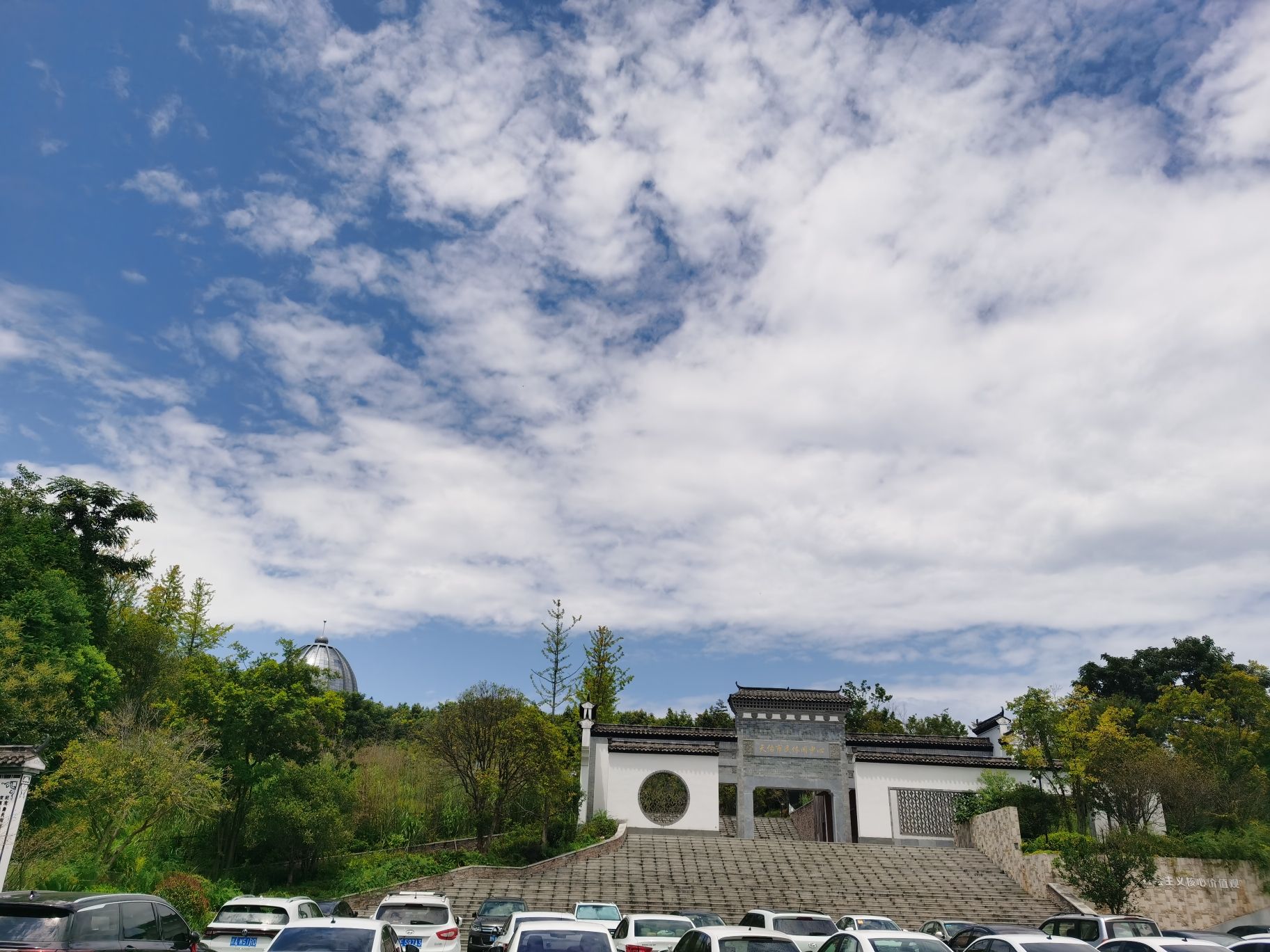 婺源植物园旅行图片 1