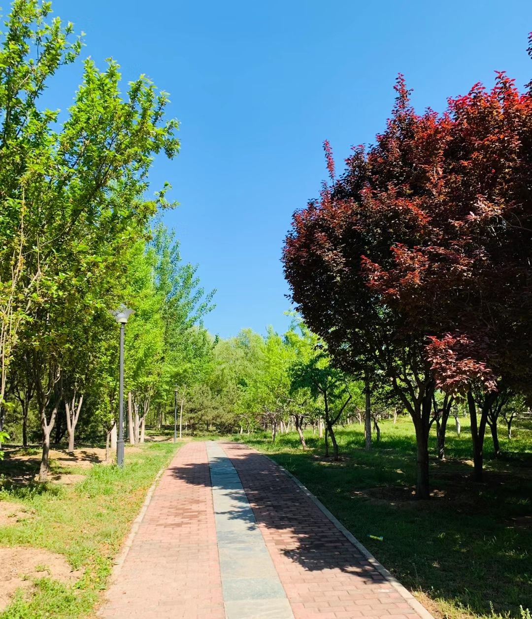 唐自口公园旅行图片 1