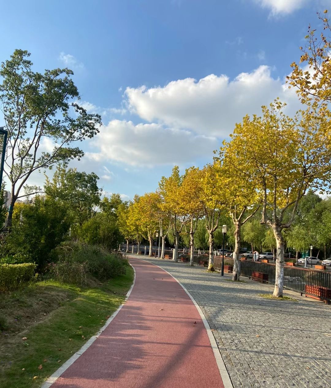 唐自口公园旅行图片 2