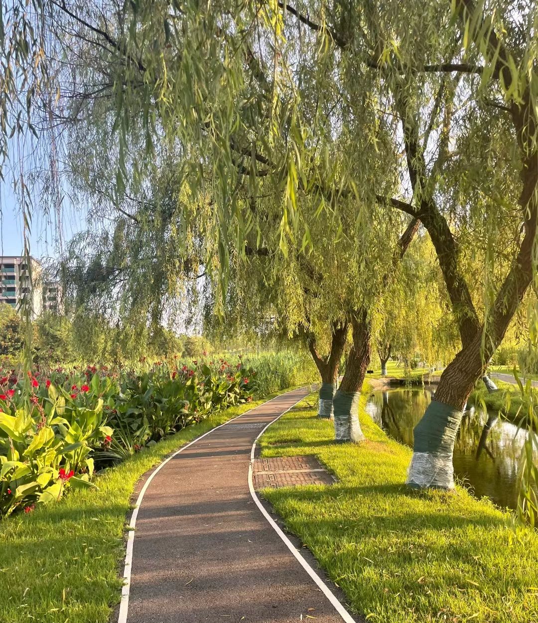 唐自口公园旅行图片 3