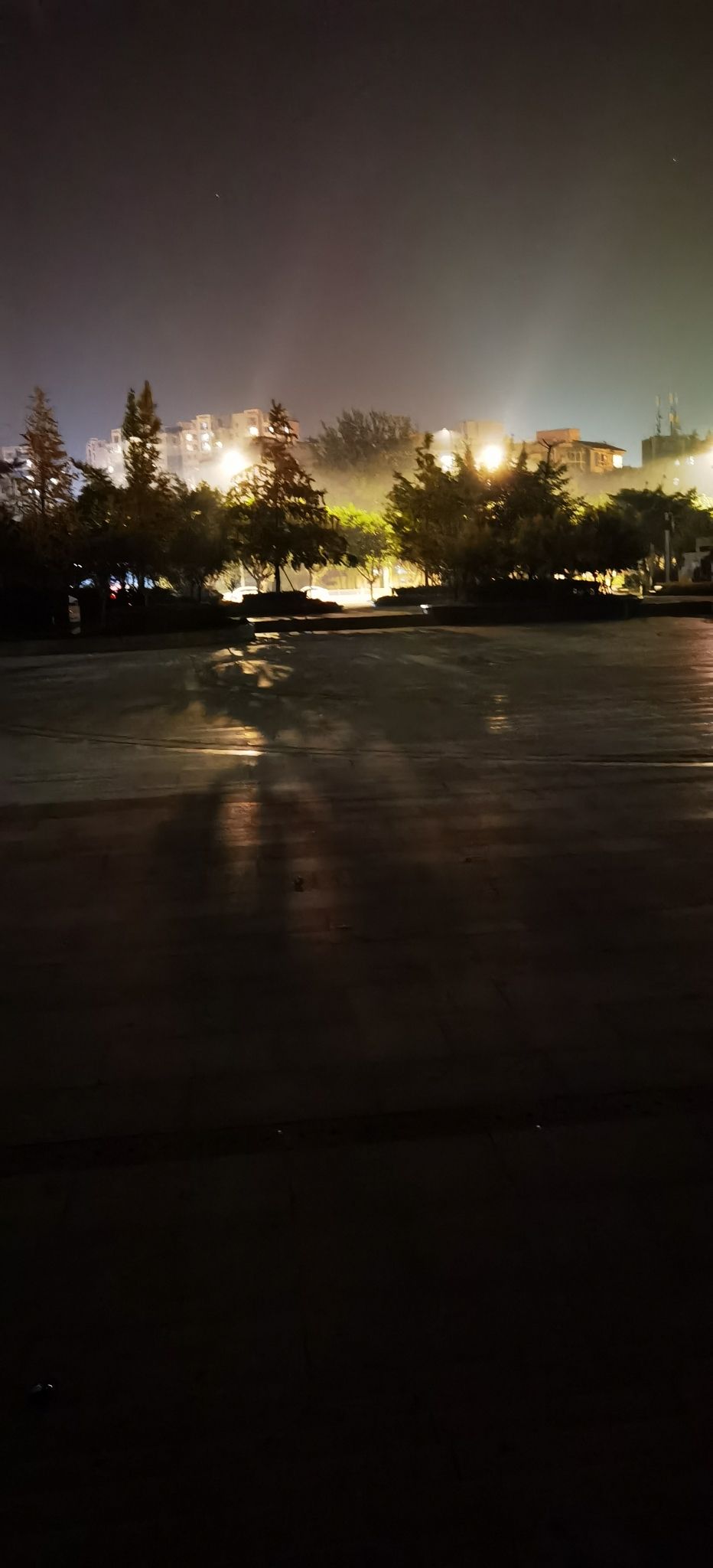 和谐广场旅行图片 3