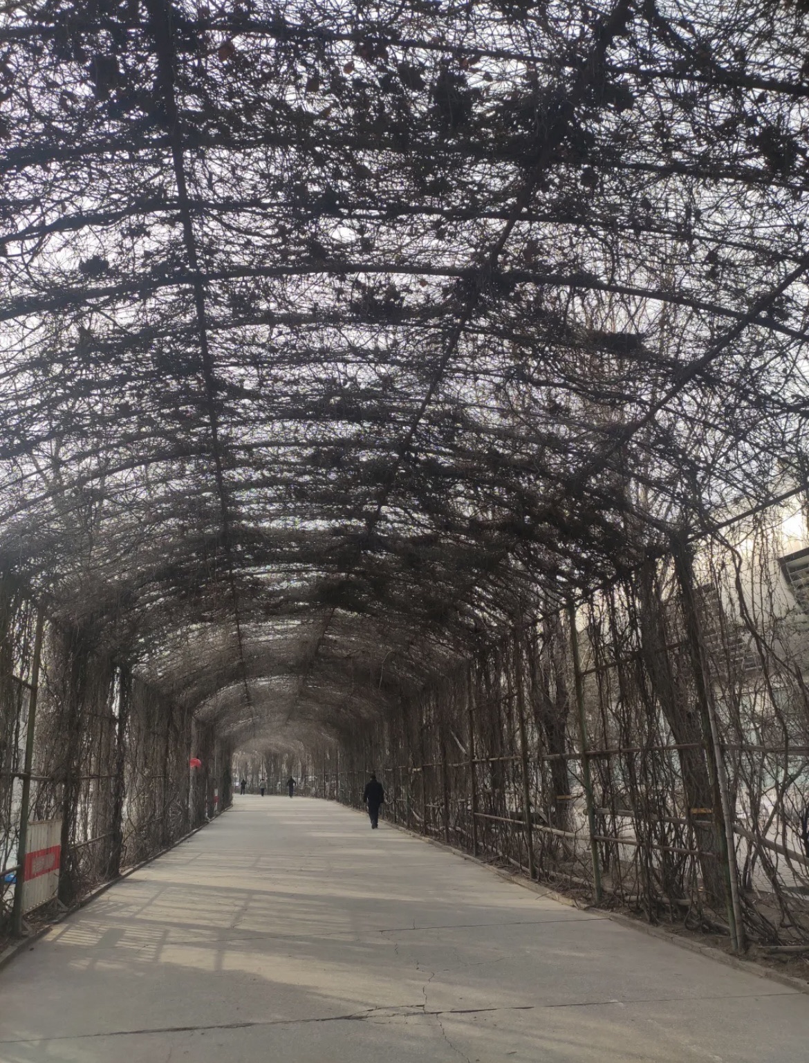 秀水湖公园旅行图片 3