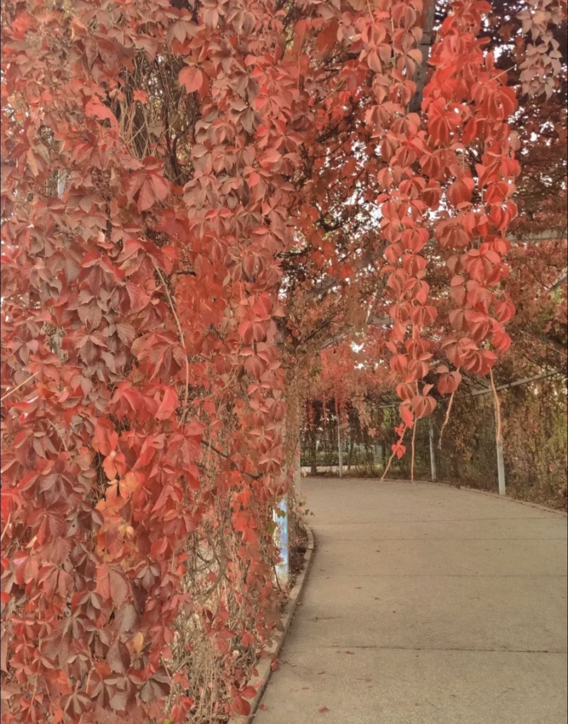 秀水湖公园旅行图片 2