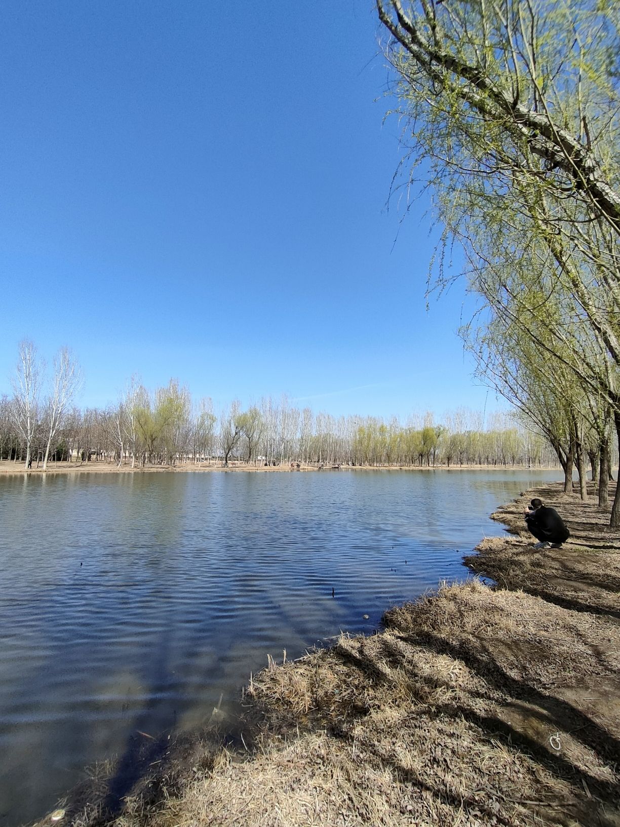 小龙河公园旅行图片 3