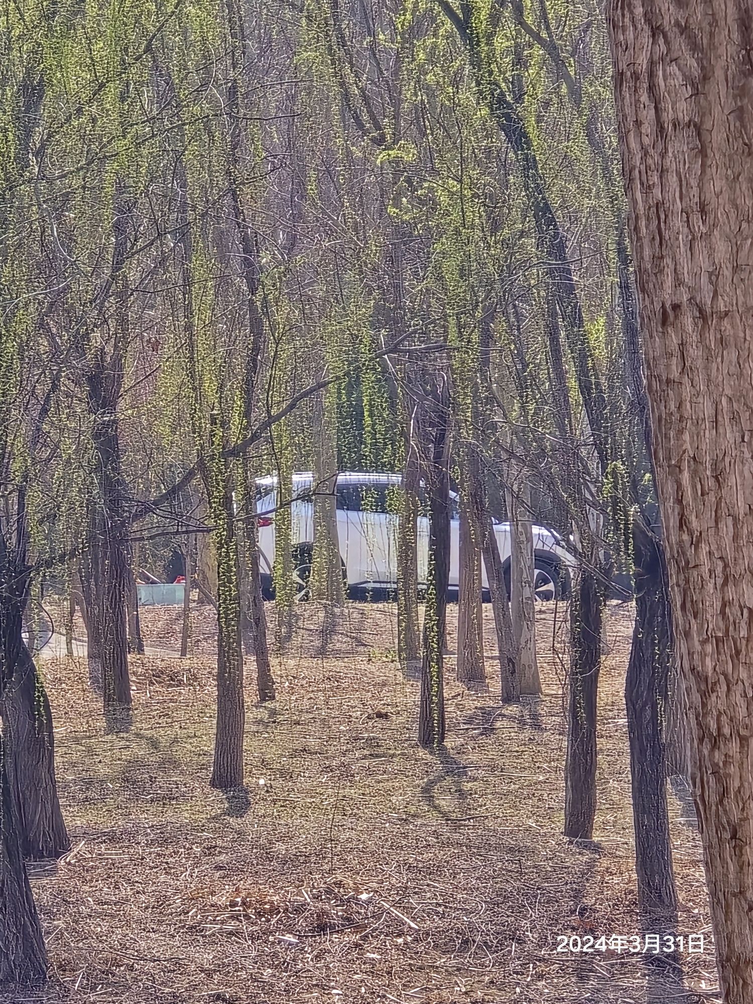 小龙河公园旅行图片 2