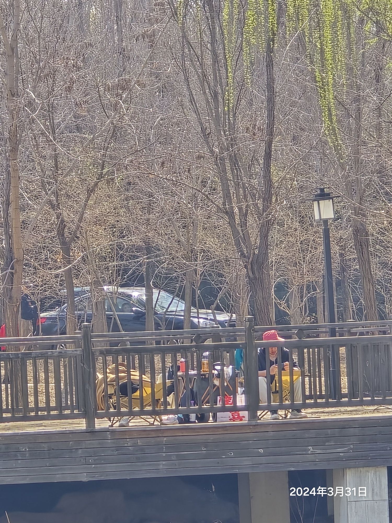 小龙河公园旅行图片 1