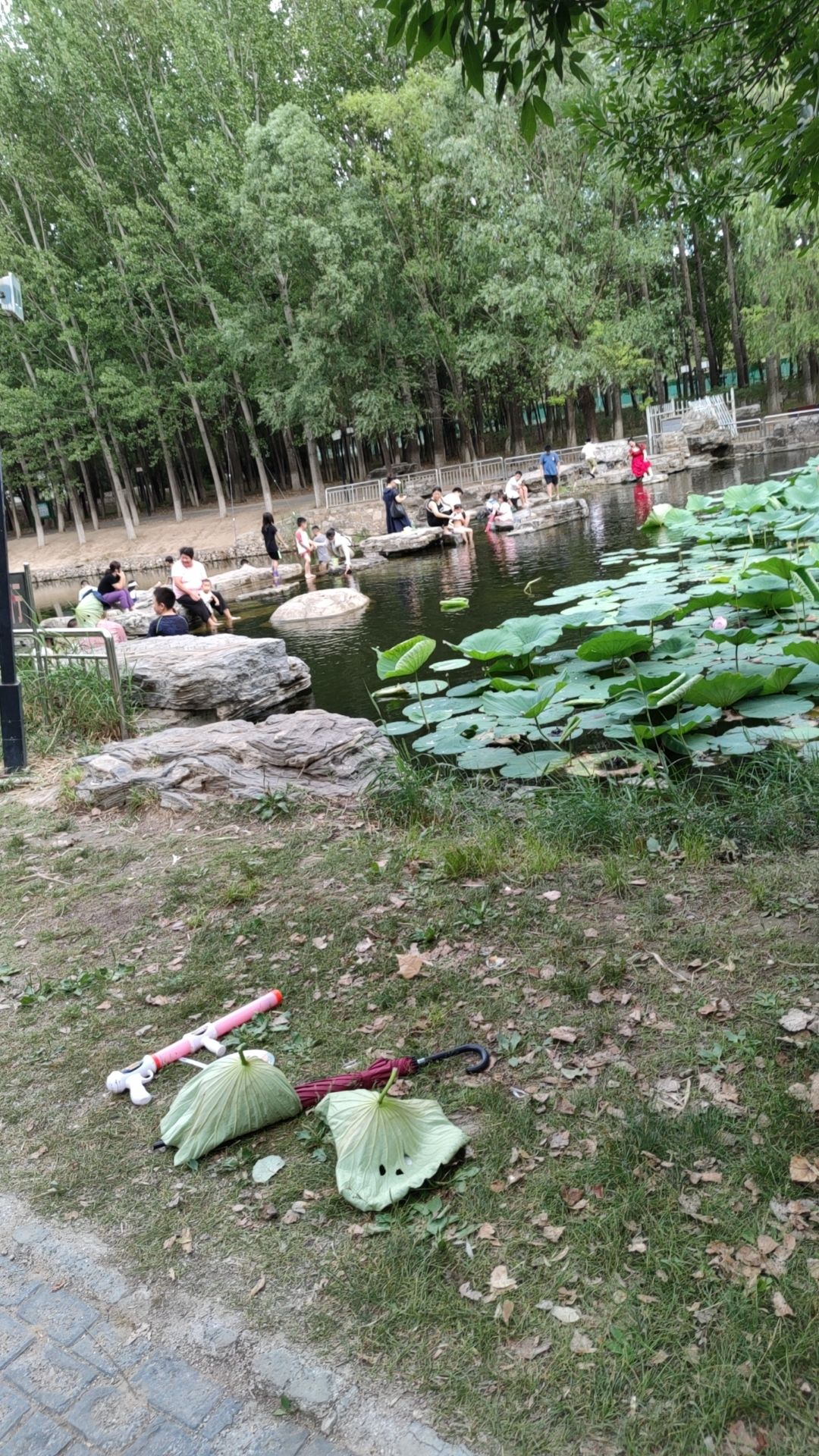 小龙河公园旅行图片 3