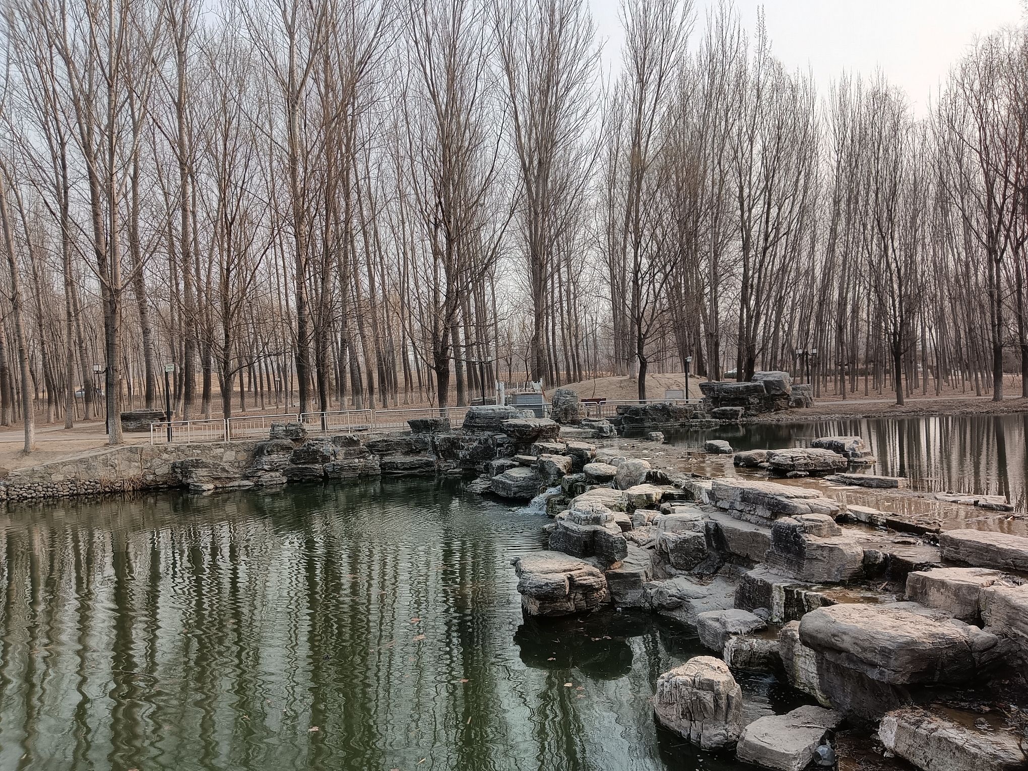 小龙河公园旅行图片 1