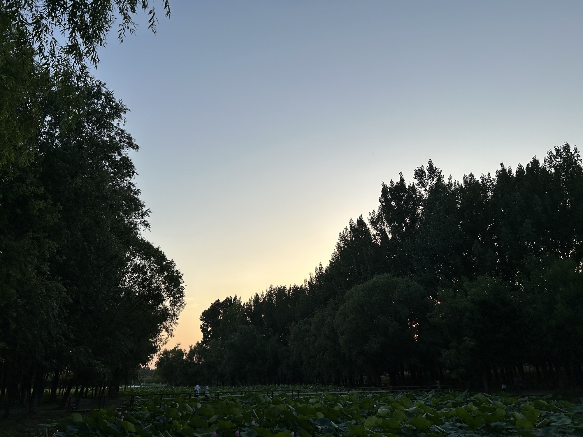 小龙河公园旅行图片 2