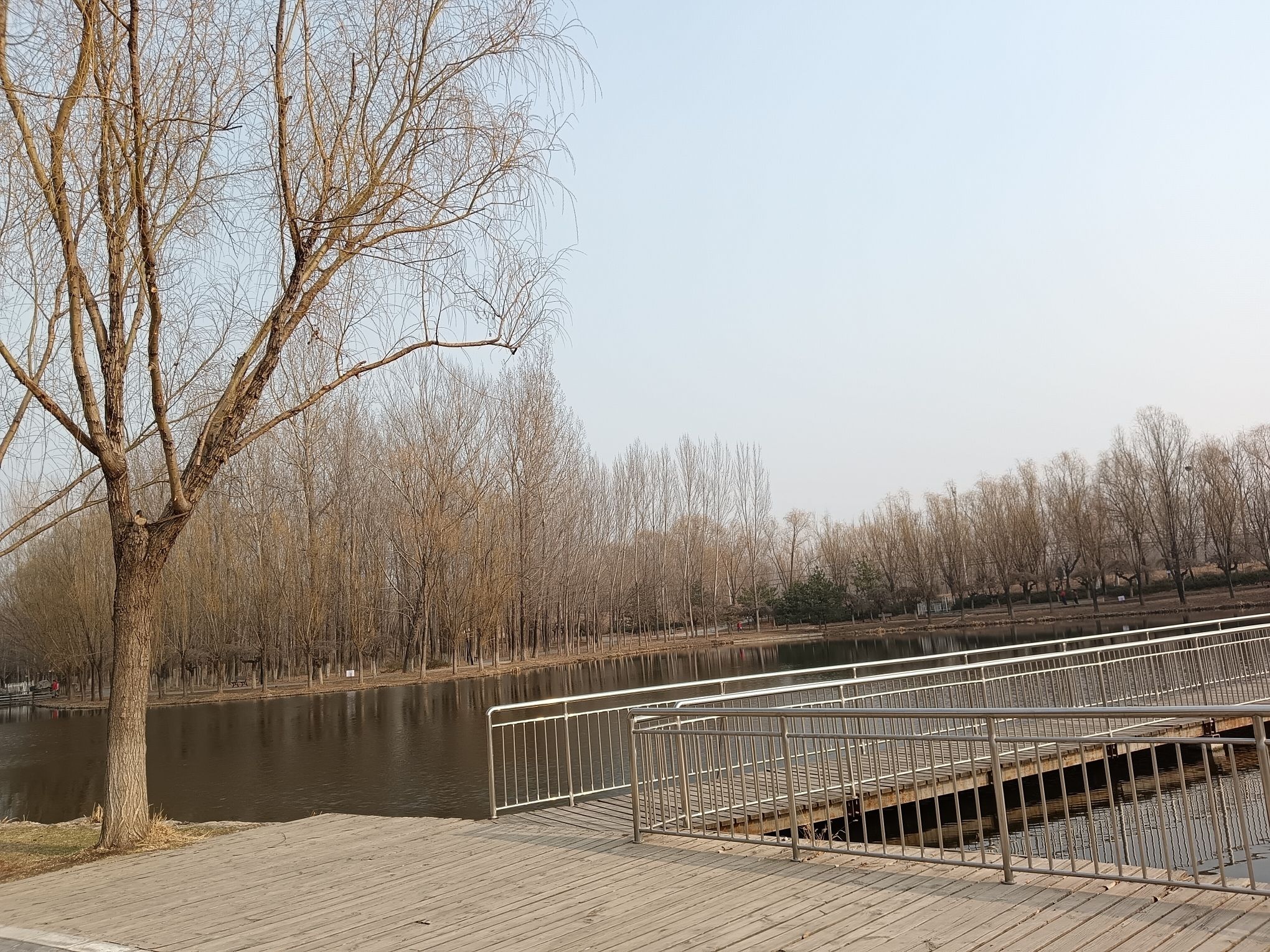 小龙河公园旅行图片 3