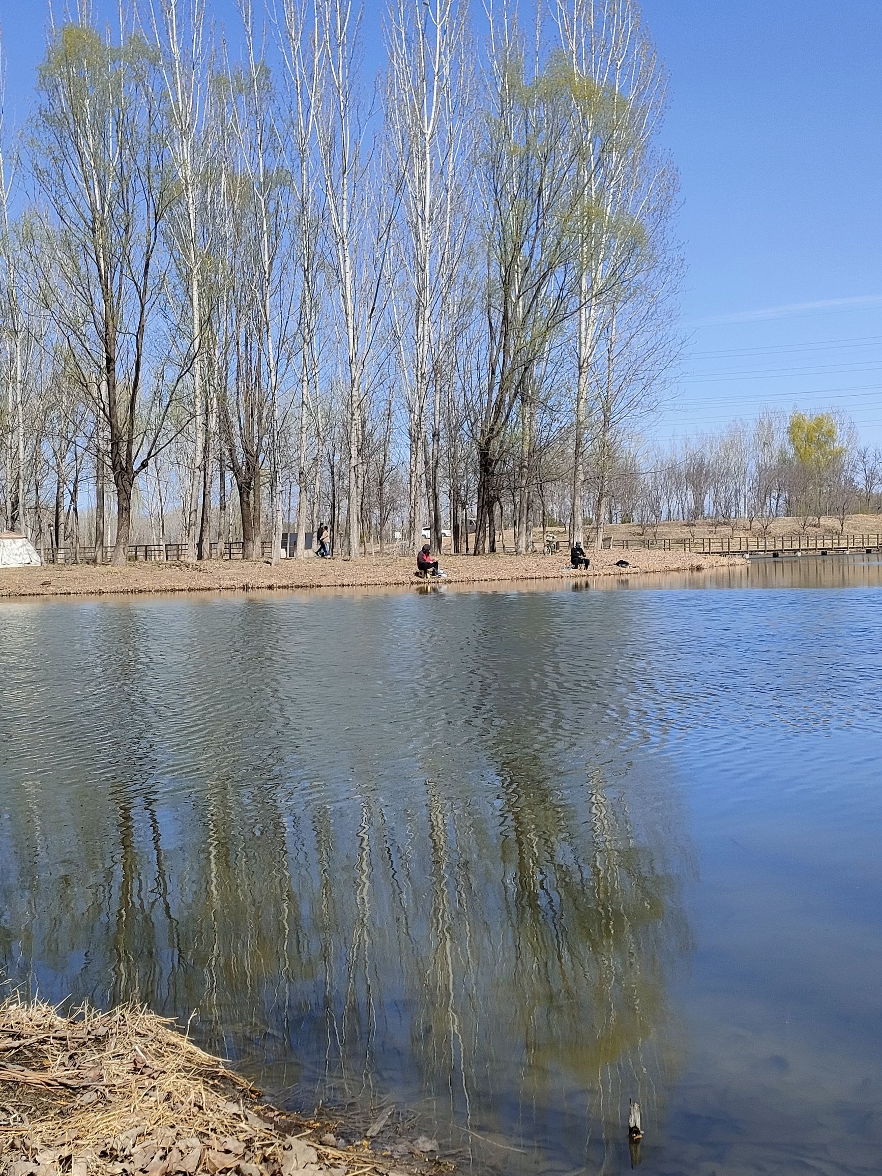 小龙河公园旅行图片 1