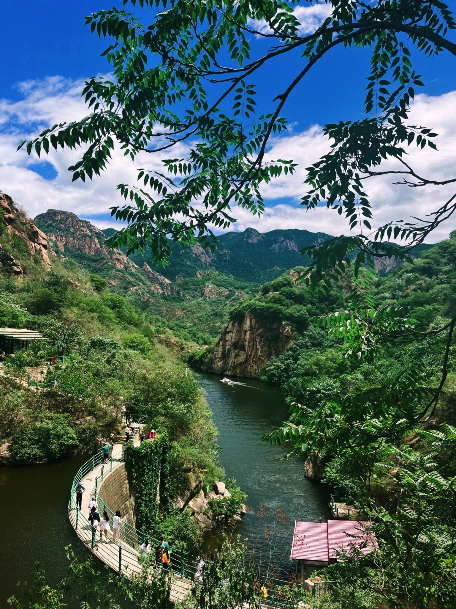 椴树岭旅行图片 1