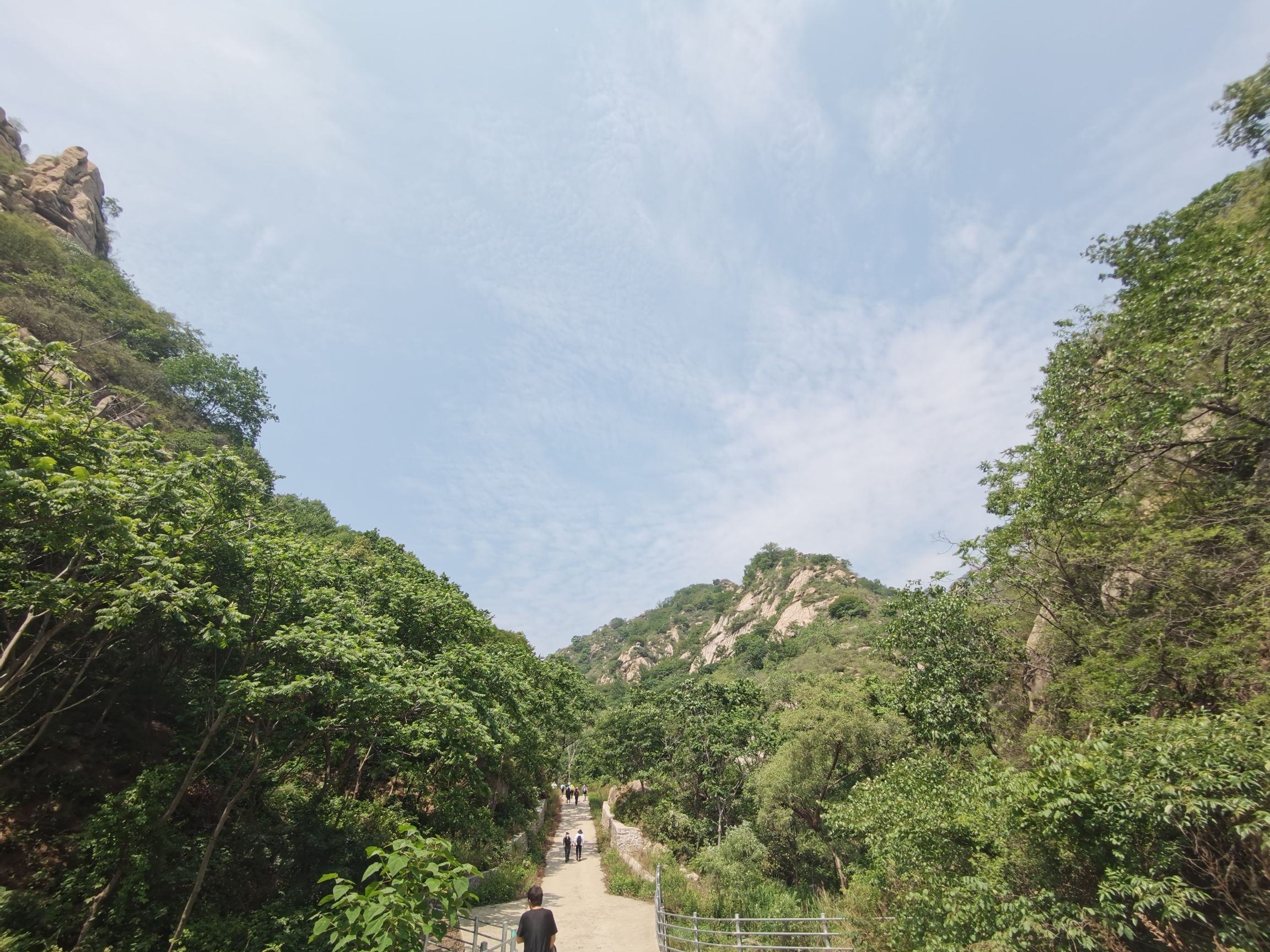 椴树岭旅行图片 3
