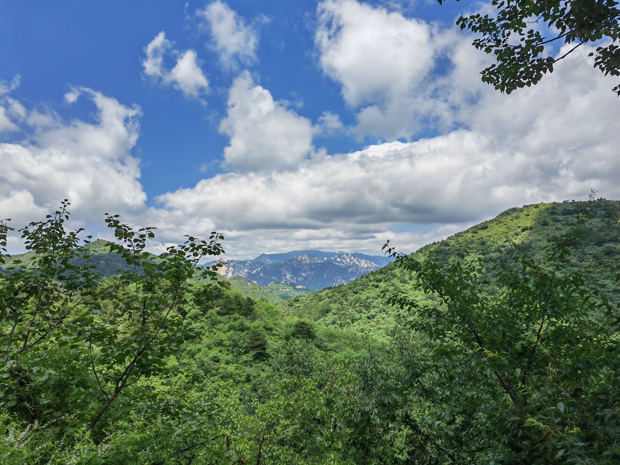 冰川绿谷沟域旅行图片 3