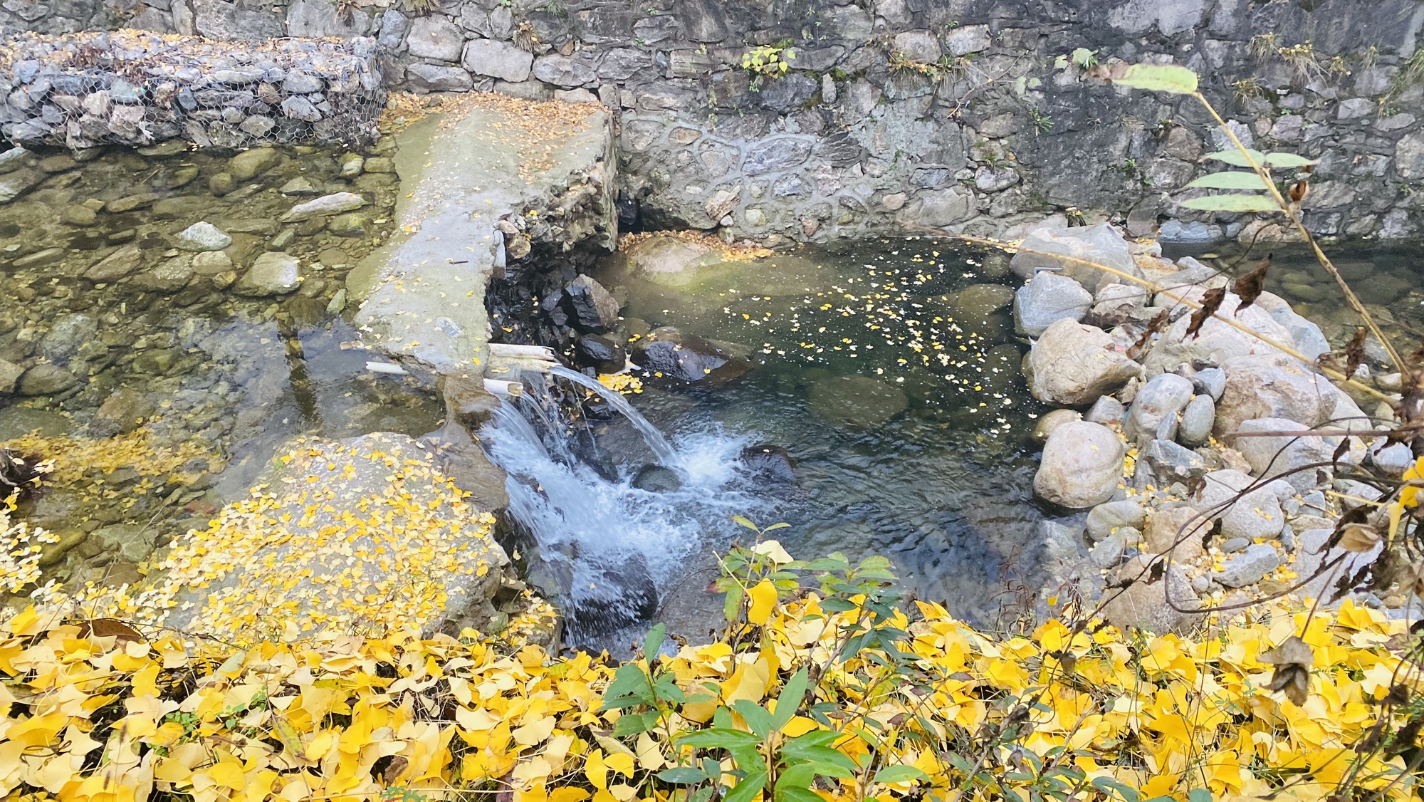 翠华山自然风景区旅行图片 2