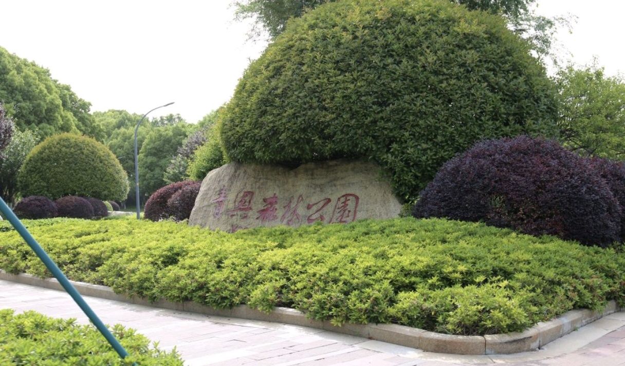 青奥森林公园