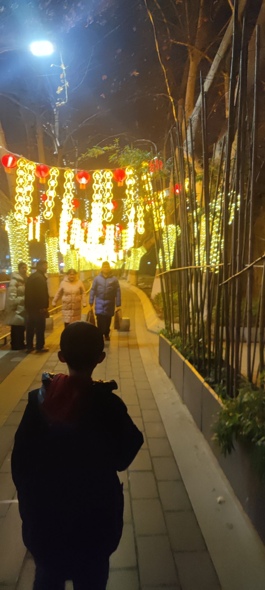 南阳人民公园旅行图片 3