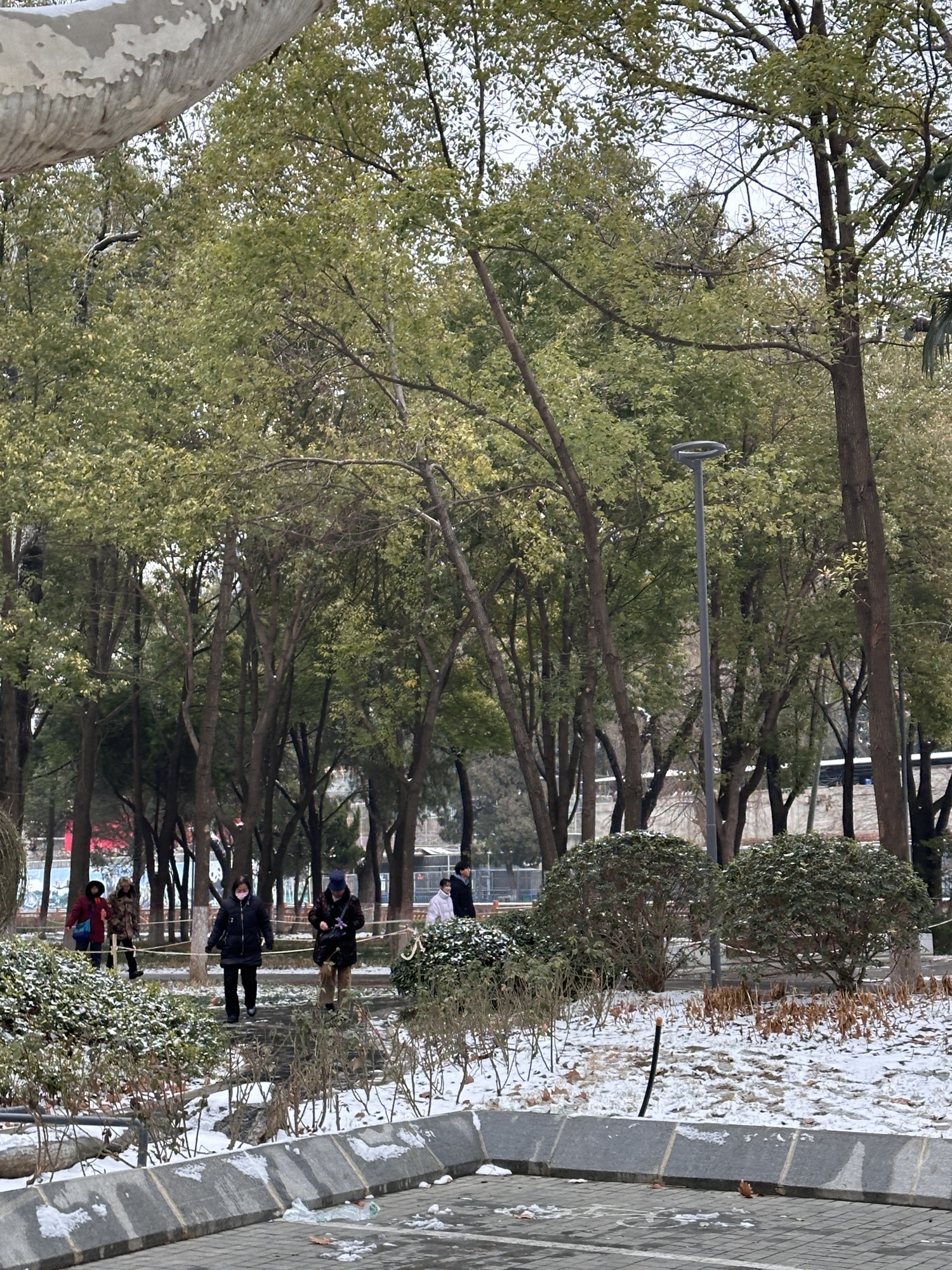 南阳人民公园旅行图片 3