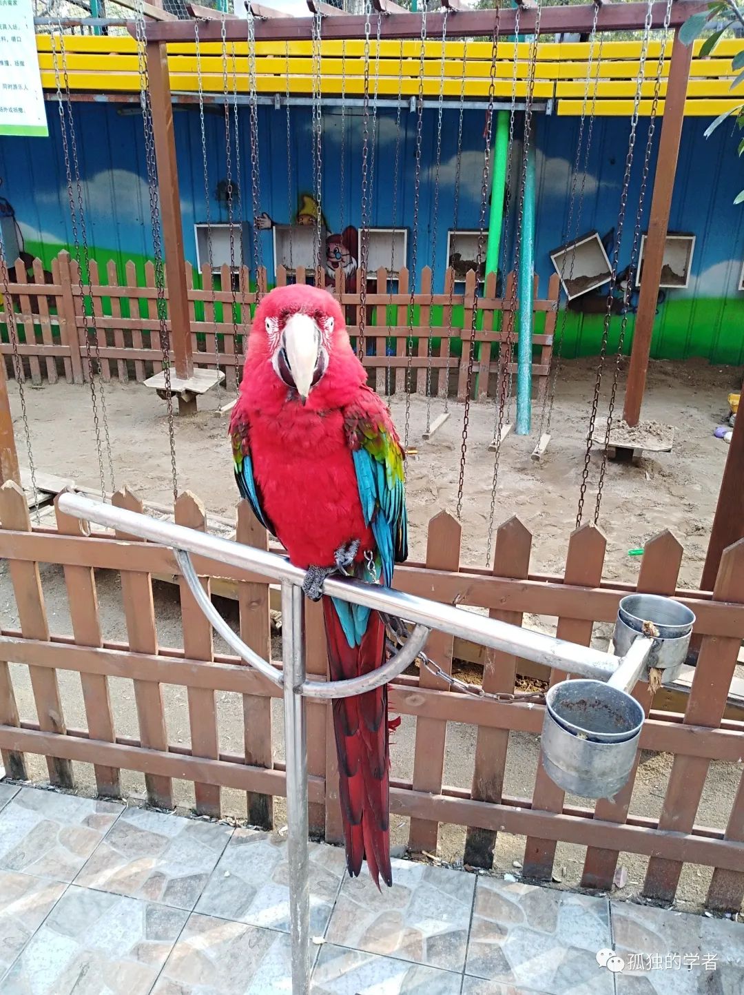 南阳人民公园旅行图片 1