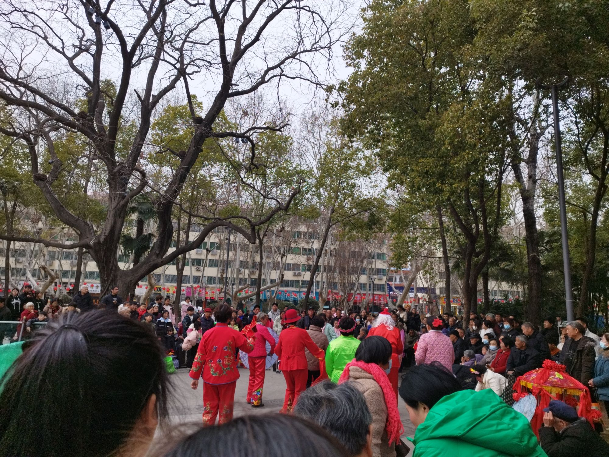 南阳人民公园旅行图片 2