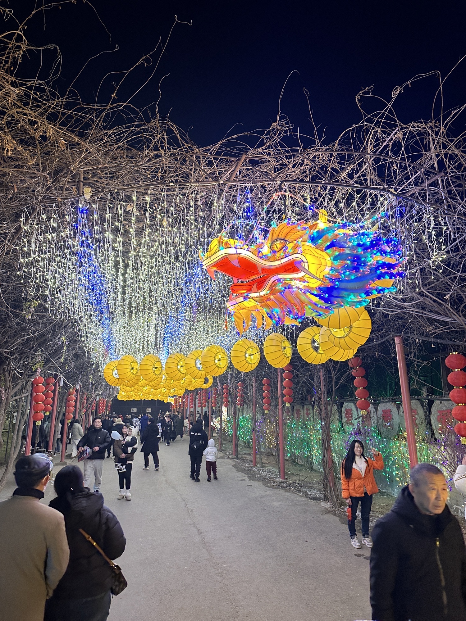 河北村民俗文化体验园旅行图片 1