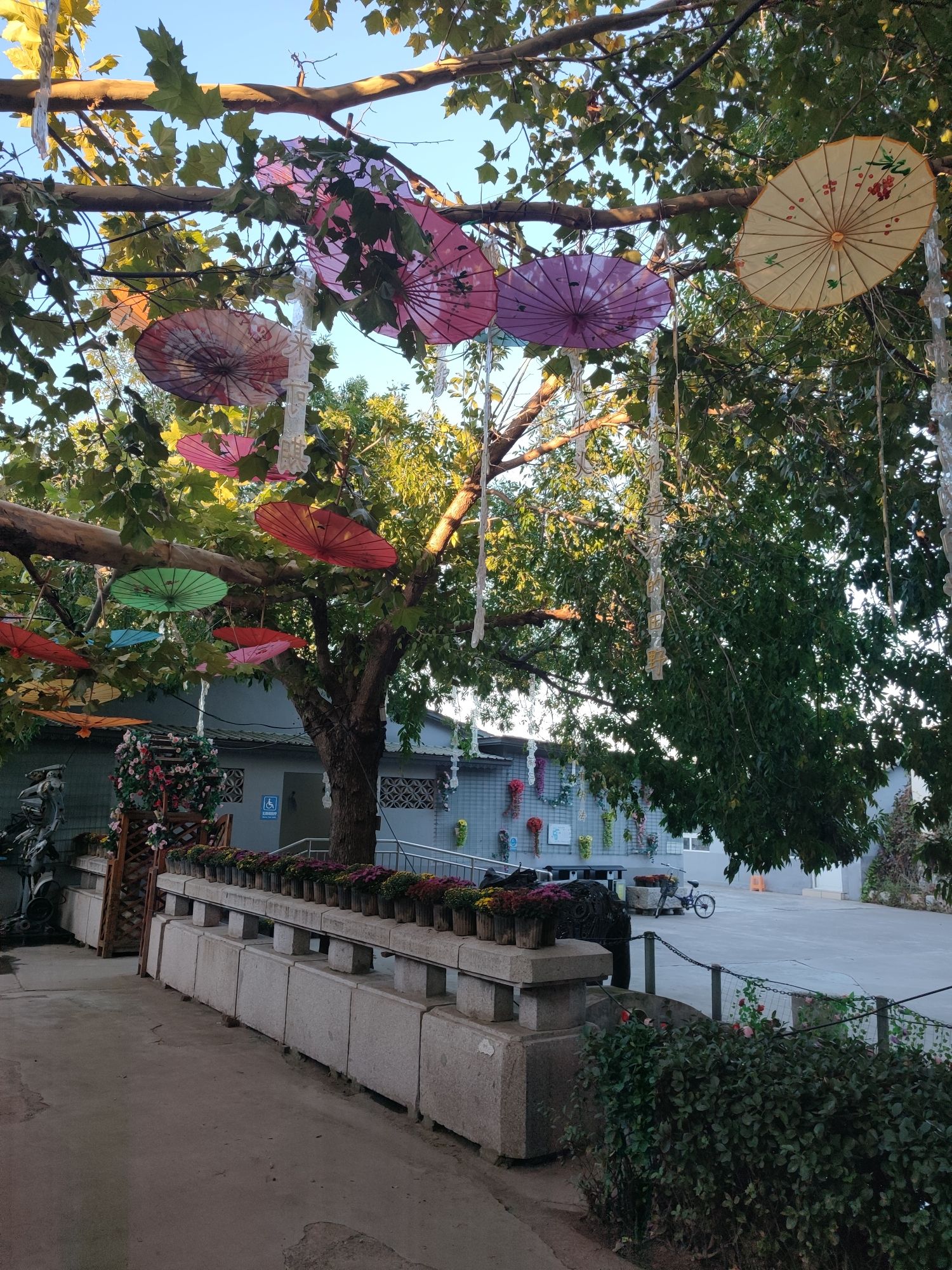 河北村民俗文化体验园旅行图片 2