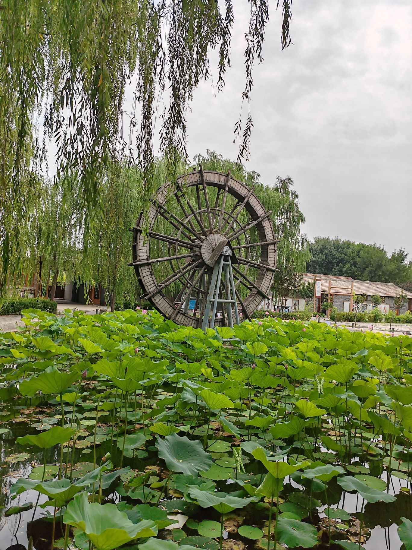 河北村民俗文化体验园旅行图片 3