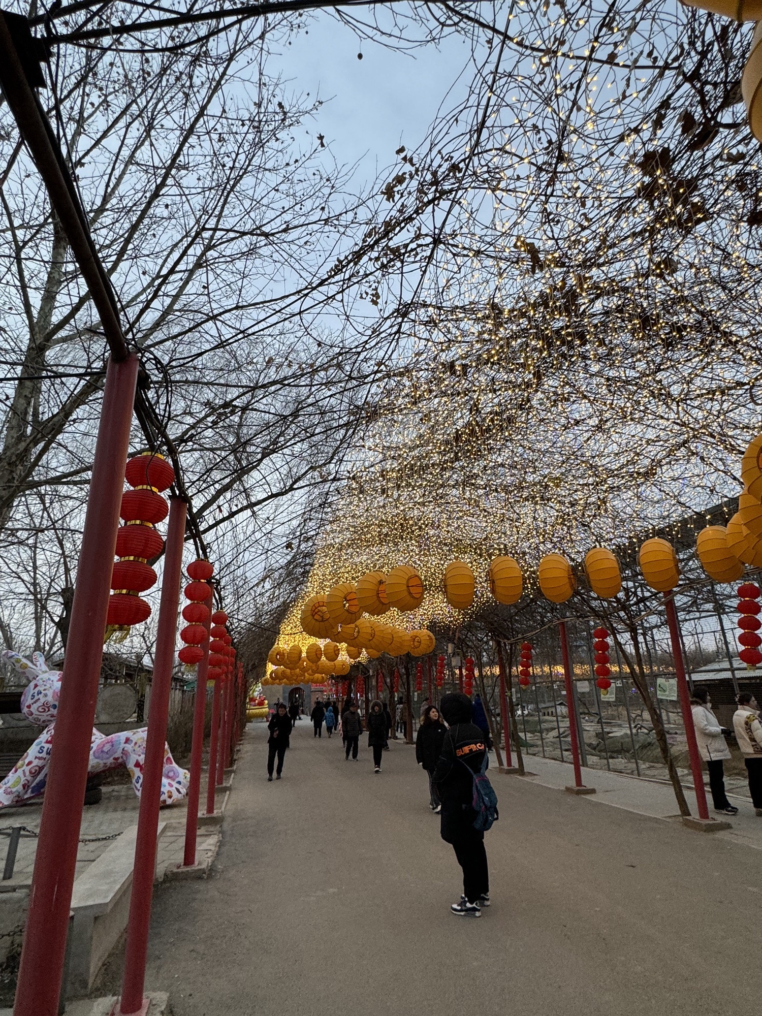 河北村民俗文化体验园旅行图片 2