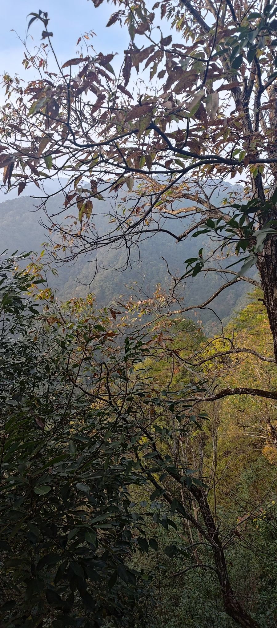 古田山旅行图片 3