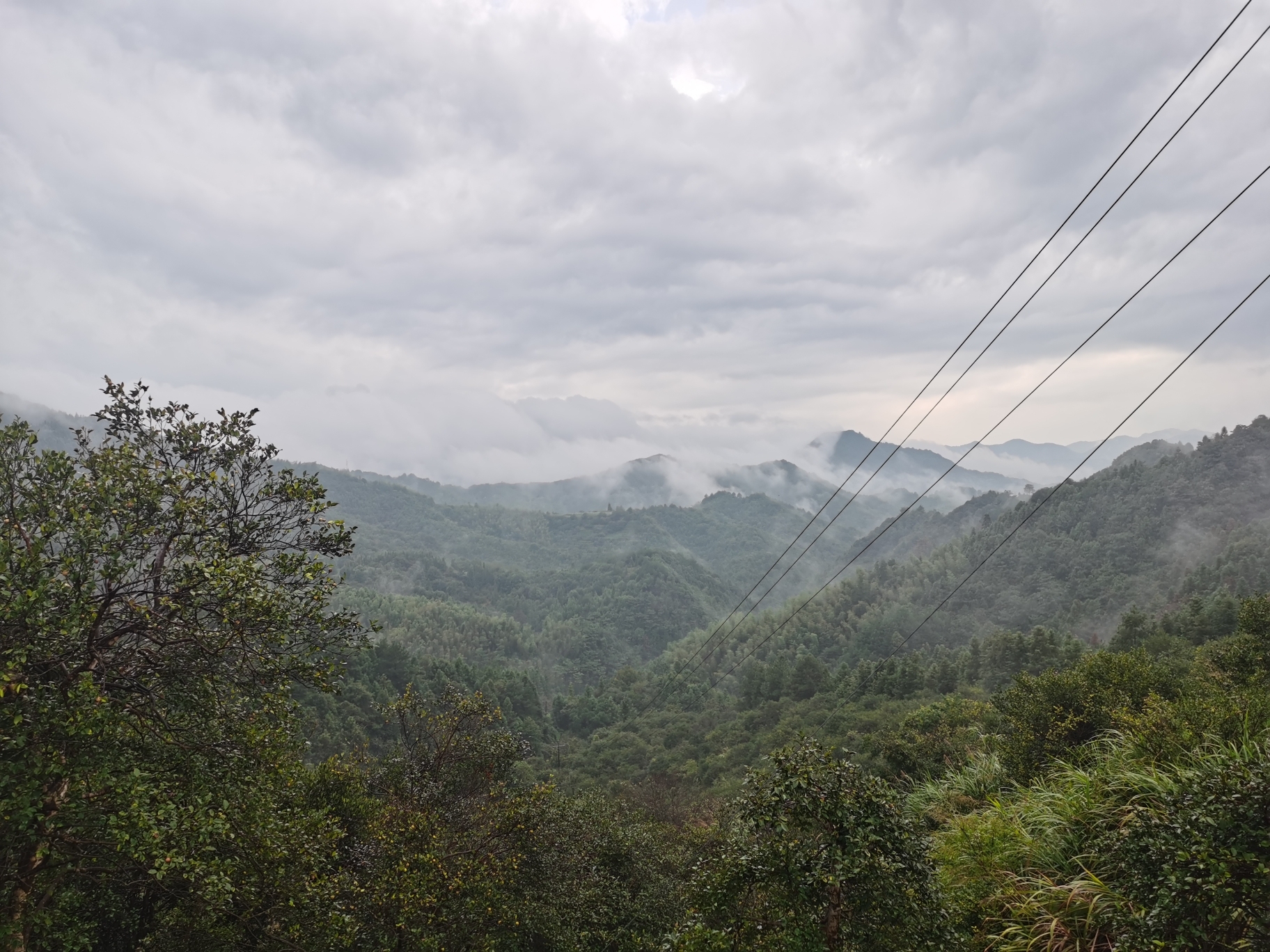 古田山旅行图片 3