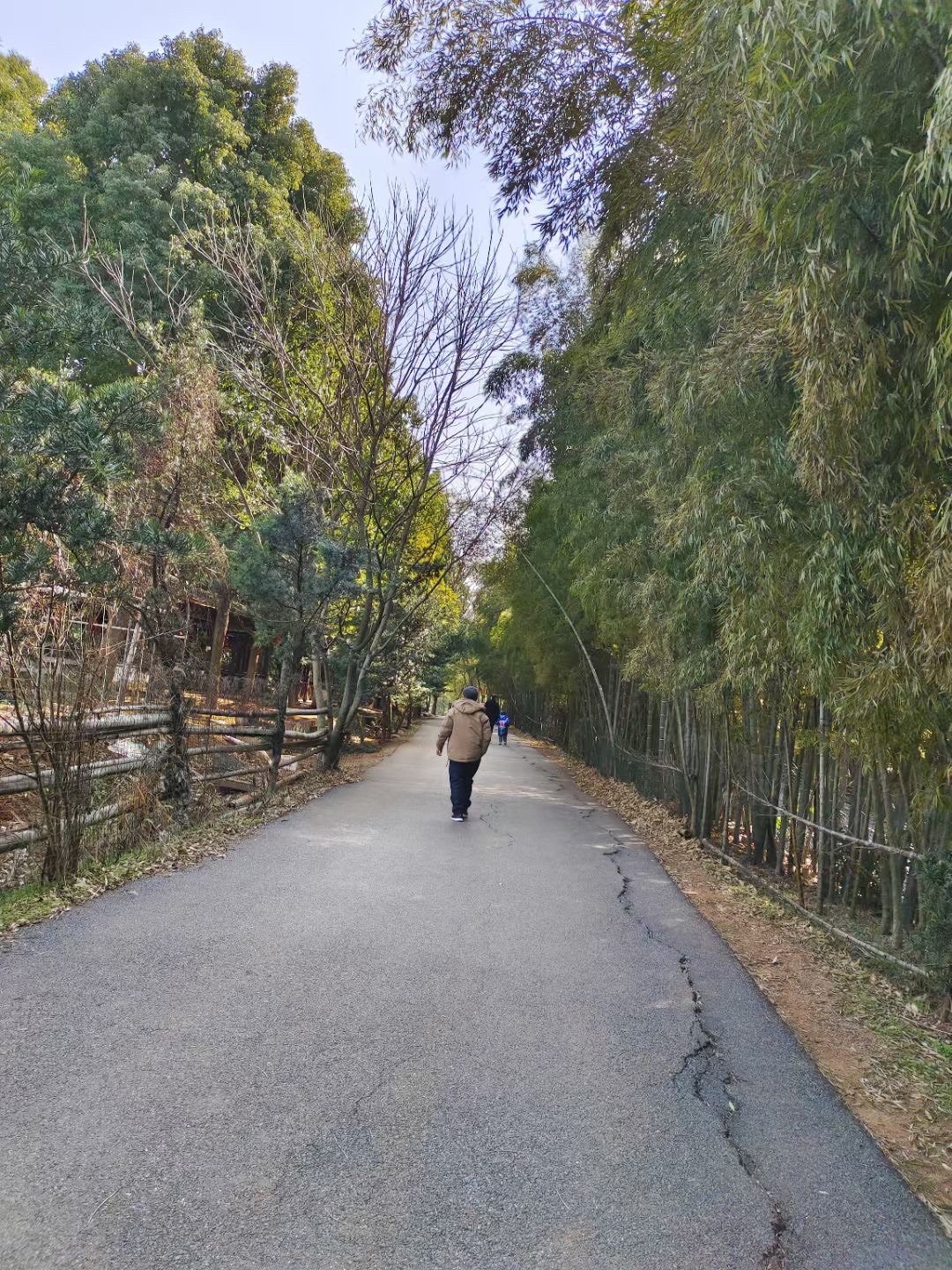 新天地生态休闲农场旅行图片 1