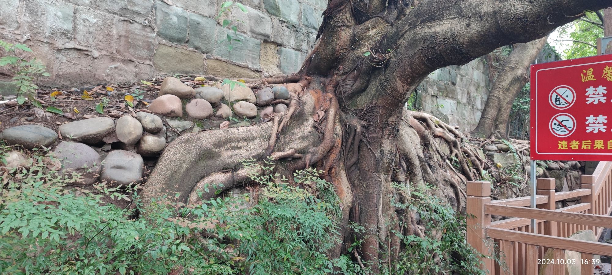 贡井平桥瀑布旅行图片 1