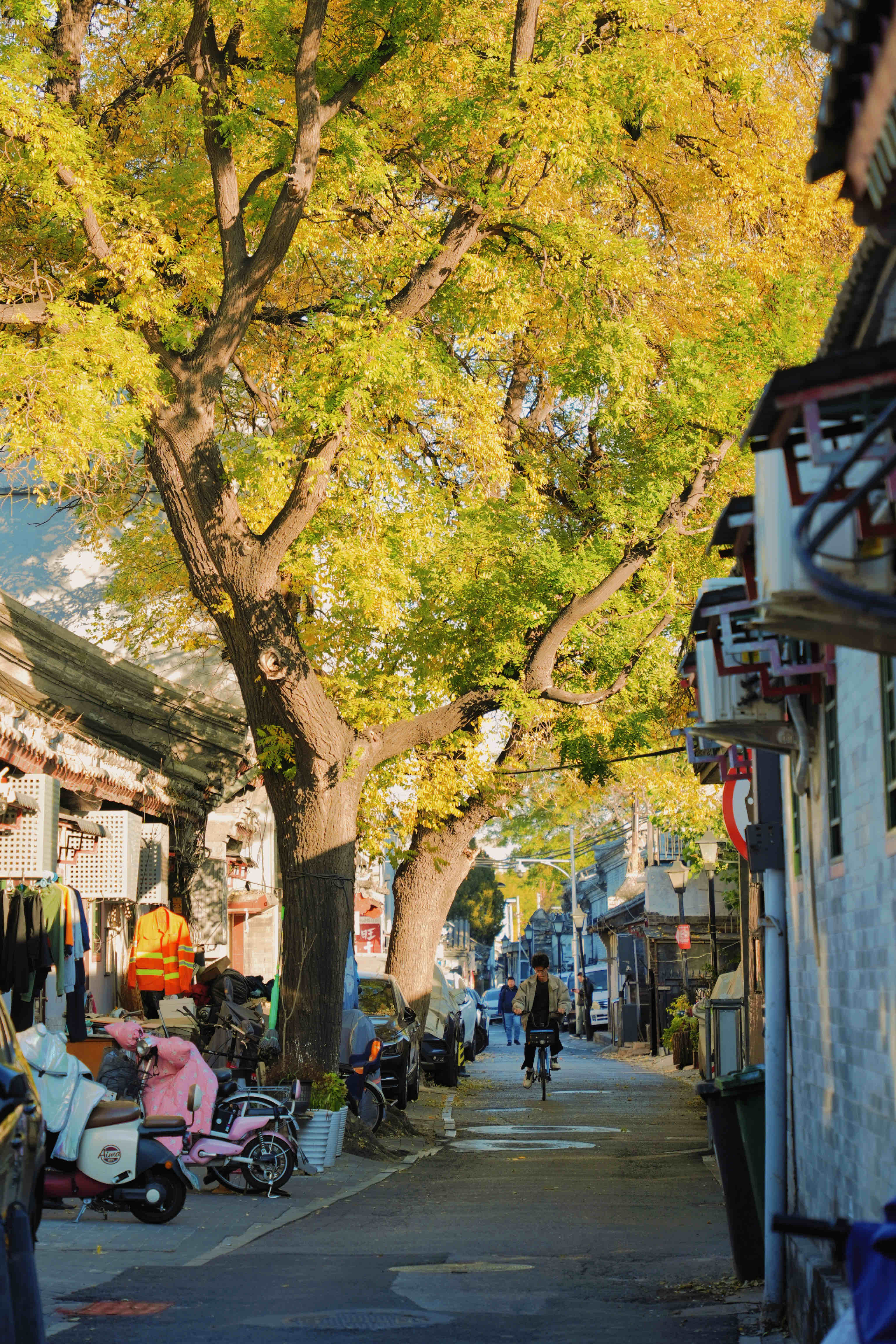 南锣鼓巷旅行图片 2