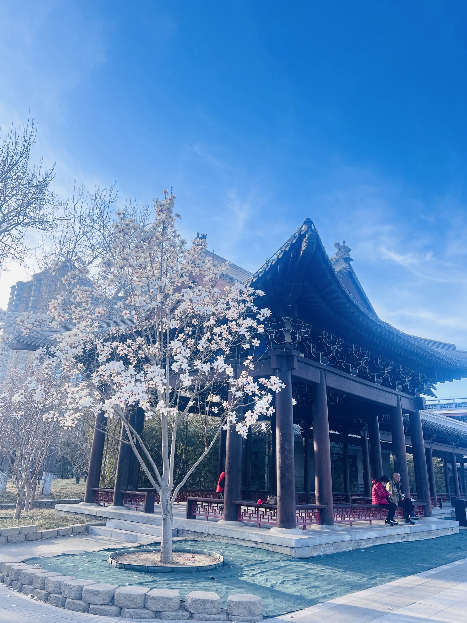 金中都公园旅行图片 2