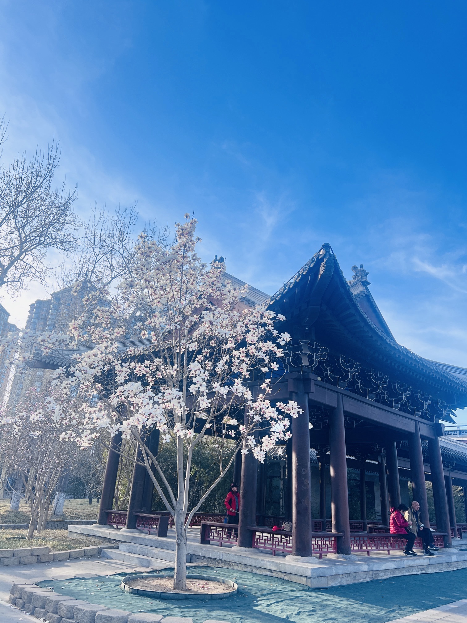 金中都公园旅行图片 1
