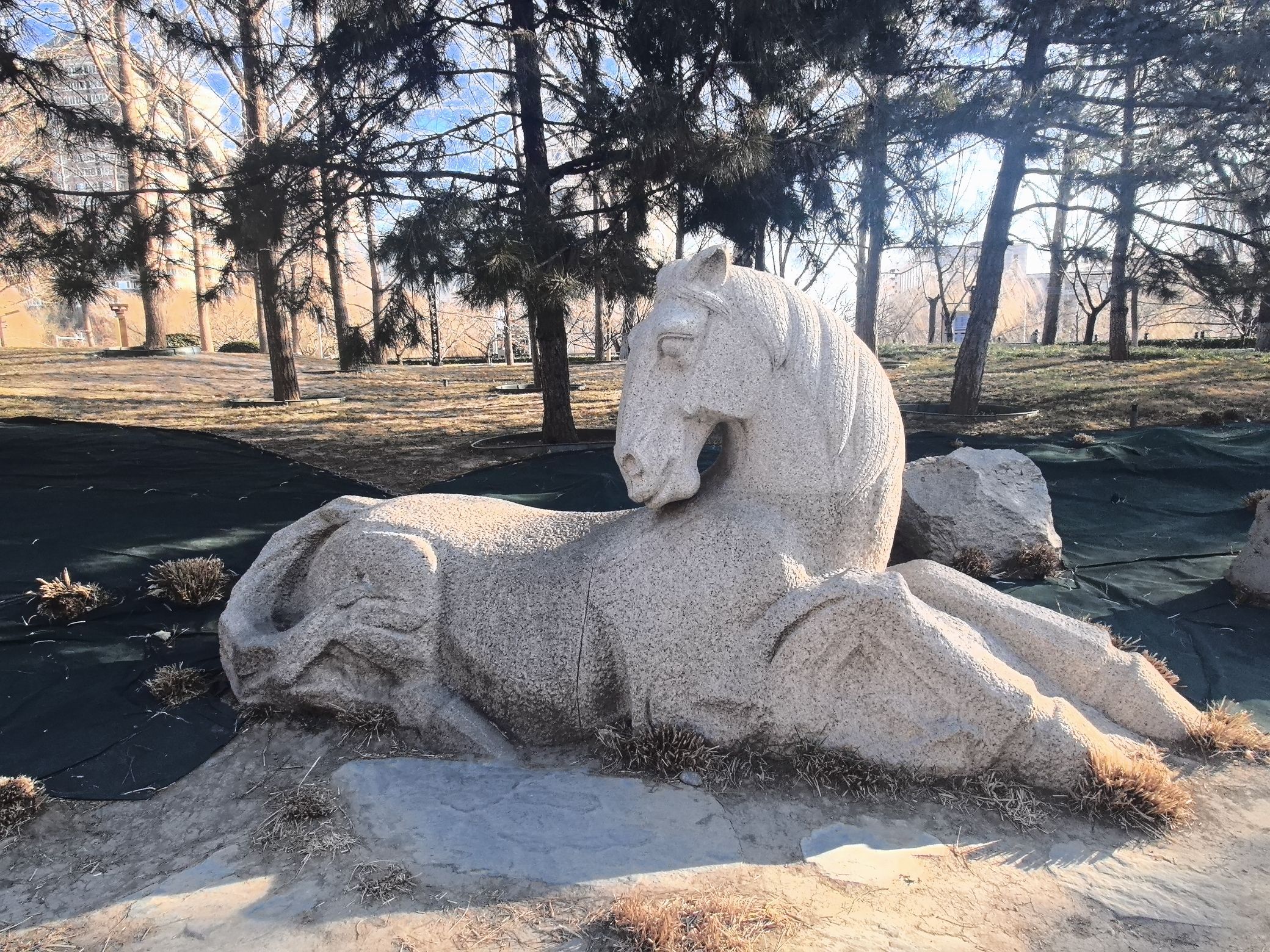 金中都公园旅行图片 3